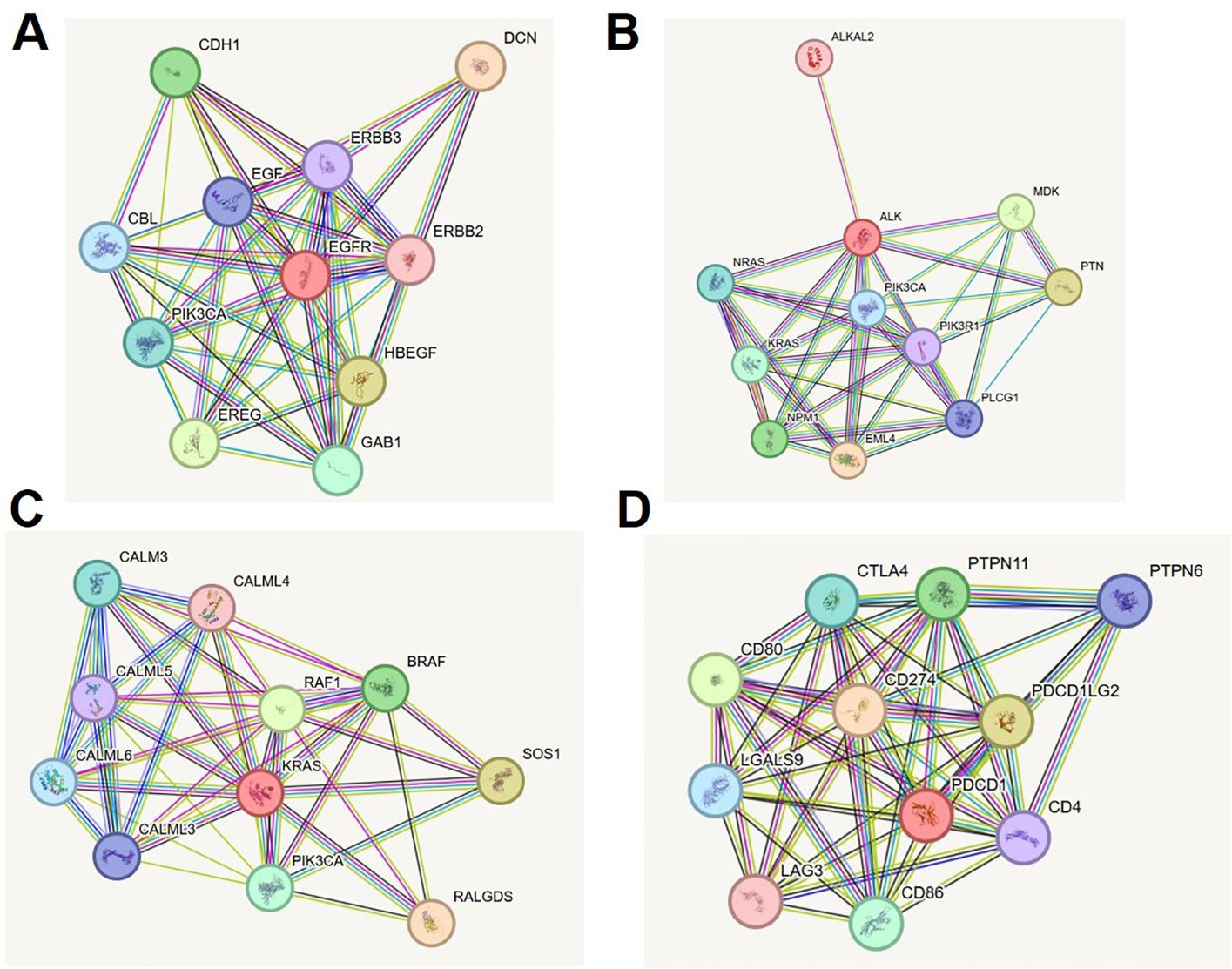 Network diagrams labeled A, B, C, and D show interactions between proteins, represented as nodes connected by colorful lines. Each diagram features a central node with various other nodes connected around it, indicating complex interaction networks.