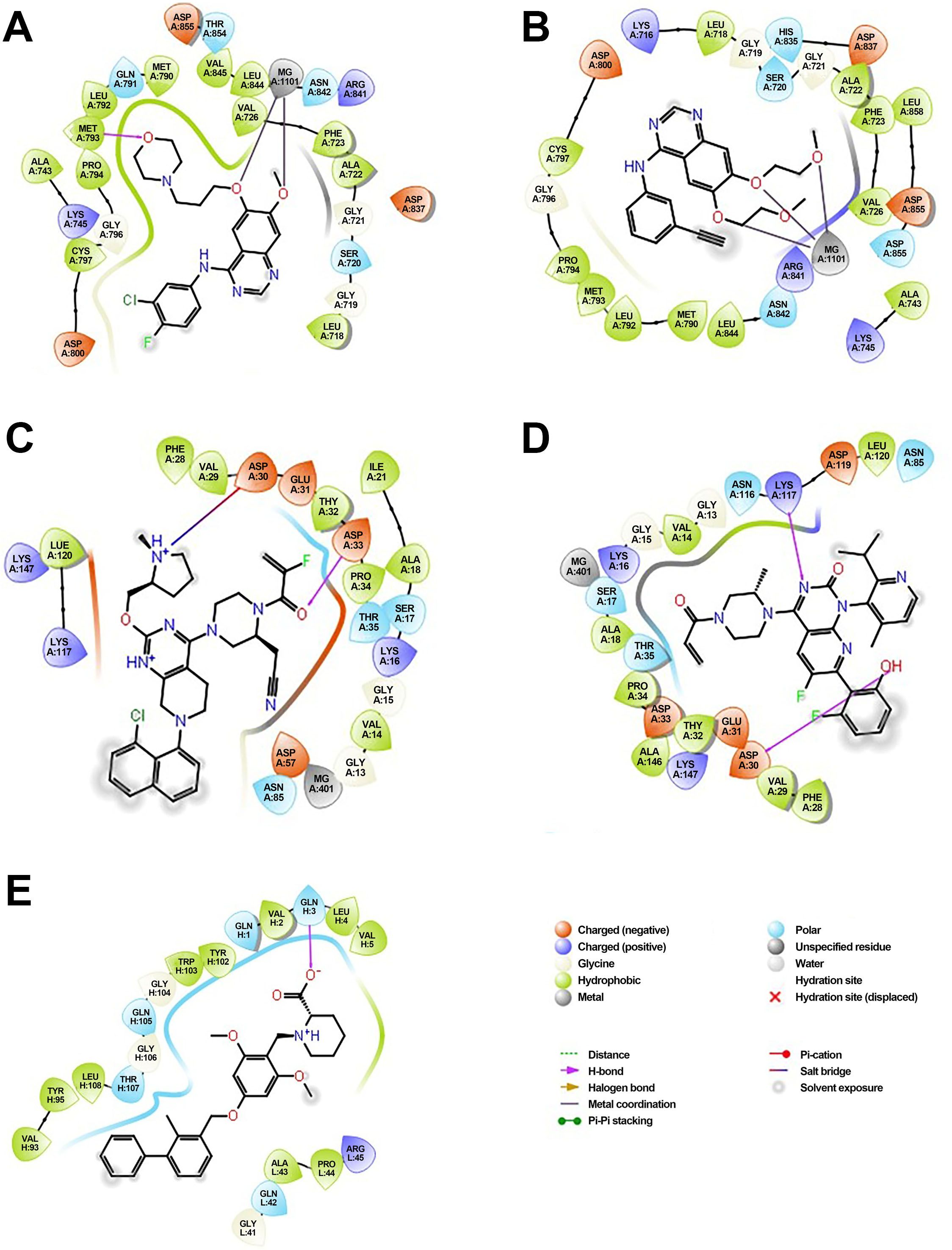 Five molecular interaction diagrams labeled A to E. Each diagram displays a different molecular docking configuration, featuring various colored nodes representing charged, polar, hydrophobic residues, and metals. Key interactions such as hydrogen bonds, pi-pi stacking, and salt bridges are indicated with specific line types. The diagrams include different molecular structures with annotations for residues like ARG, ASP, and GLY, among others. A legend details the color and line type meanings.