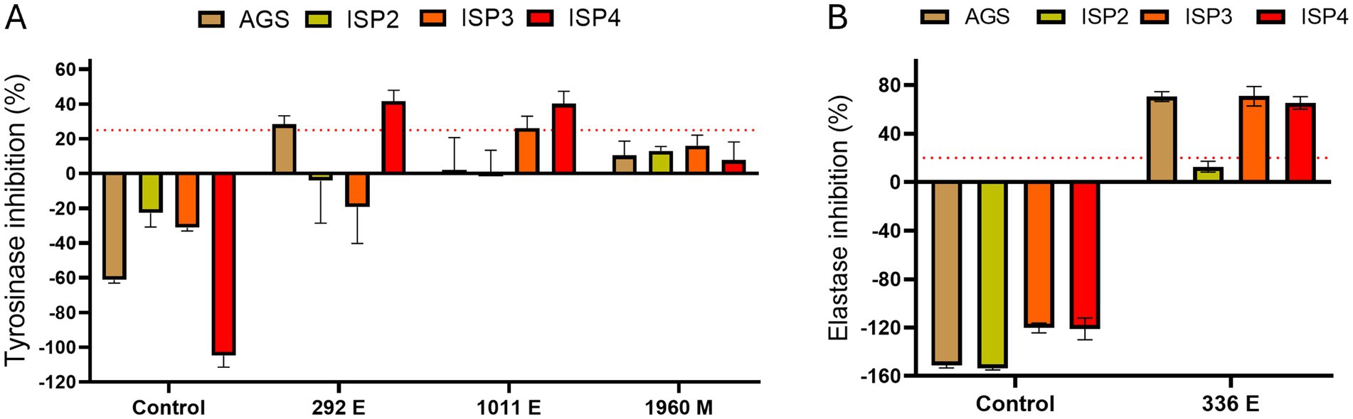 Bar graphs A and B show tyrosinase and elastase inhibition percentages, respectively, across AGS, ISP2, ISP3, and ISP4 samples. Graph A reveals tyrosinase inhibition, with ISP4 showing the highest positive inhibition in 292 E. Graph B displays elastase inhibition, with significant negative inhibition in control for ISP3 and ISP4, while 336 E shows positive inhibition for AGS, ISP3, and ISP4. The x-axis indicates sample types, and the y-axis shows inhibition percentages. Error bars indicate variability.