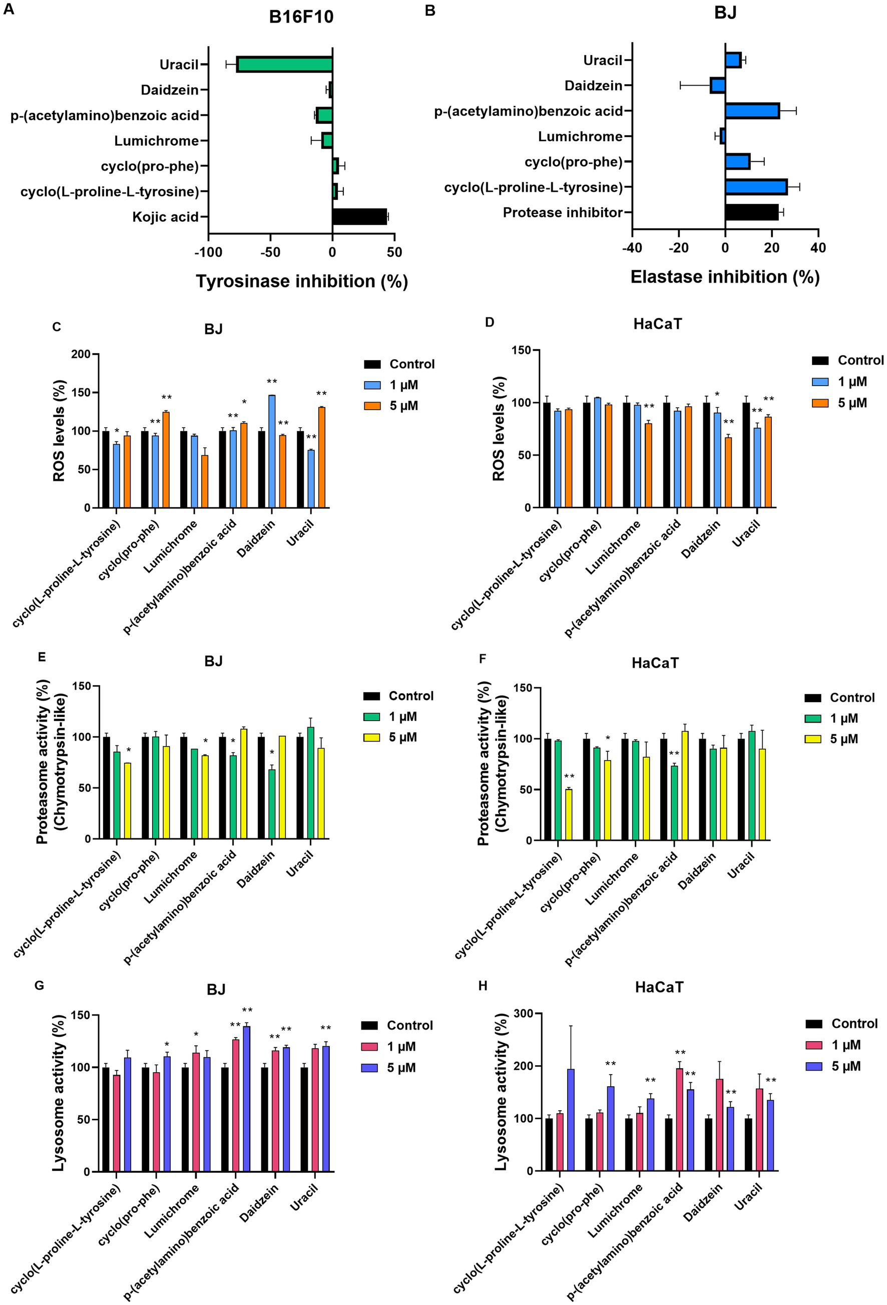 Charts display the effects of various compounds on biological activities. Panel A shows the tyrosinase inhibition by compounds in B16F10 cells, panel B shows elastase inhibition in BJ cells. Panels C and D illustrate ROS levels in BJ and HaCaT cells, respectively. Panels E and F show proteasome activity, and panels G and H depict lysosome activity in BJ and HaCaT cells. Different concentrations and control groups are compared for each test, with color-coded bars indicating the results. Statistical significance is marked with asterisks.