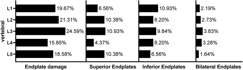 Bar chart showing vertebral endplate damage percentages for L1 to L5 vertebrae. Categories include overall endplate damage, superior, inferior, and bilateral endplates. L3 shows the highest damage at 24.59%, while L5 has the lowest bilateral damage at 1.64%. Other values vary between 4.37% and 21.31%.