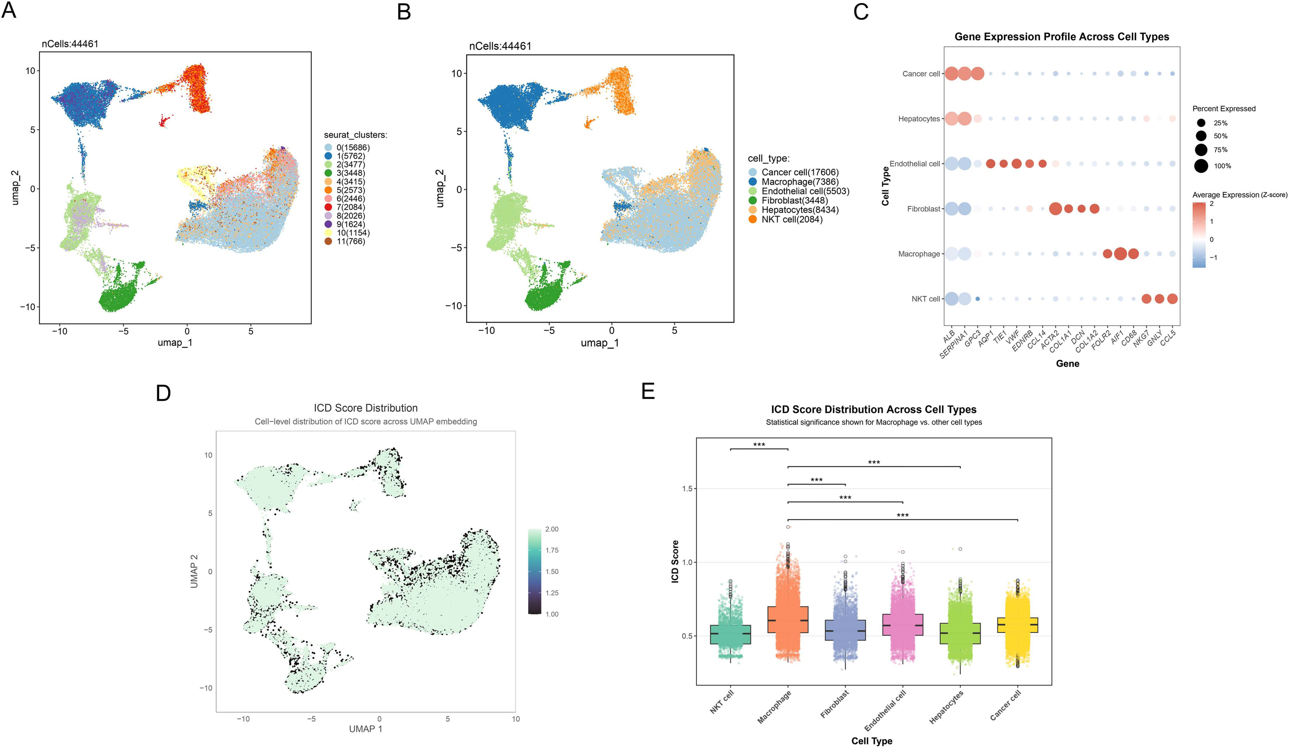 Panel A shows a UMAP plot of cells colored by clusters. Panel B displays a UMAP plot of the same cells colored by cell type, including cancer cells, macrophages, and others. Panel C is a dot plot showing gene expression profiles across cell types. Panel D presents another UMAP plot illustrating ICD score distribution. Panel E is a box plot showing ICD score distribution across cell types, indicating significant differences, particularly for macrophages.