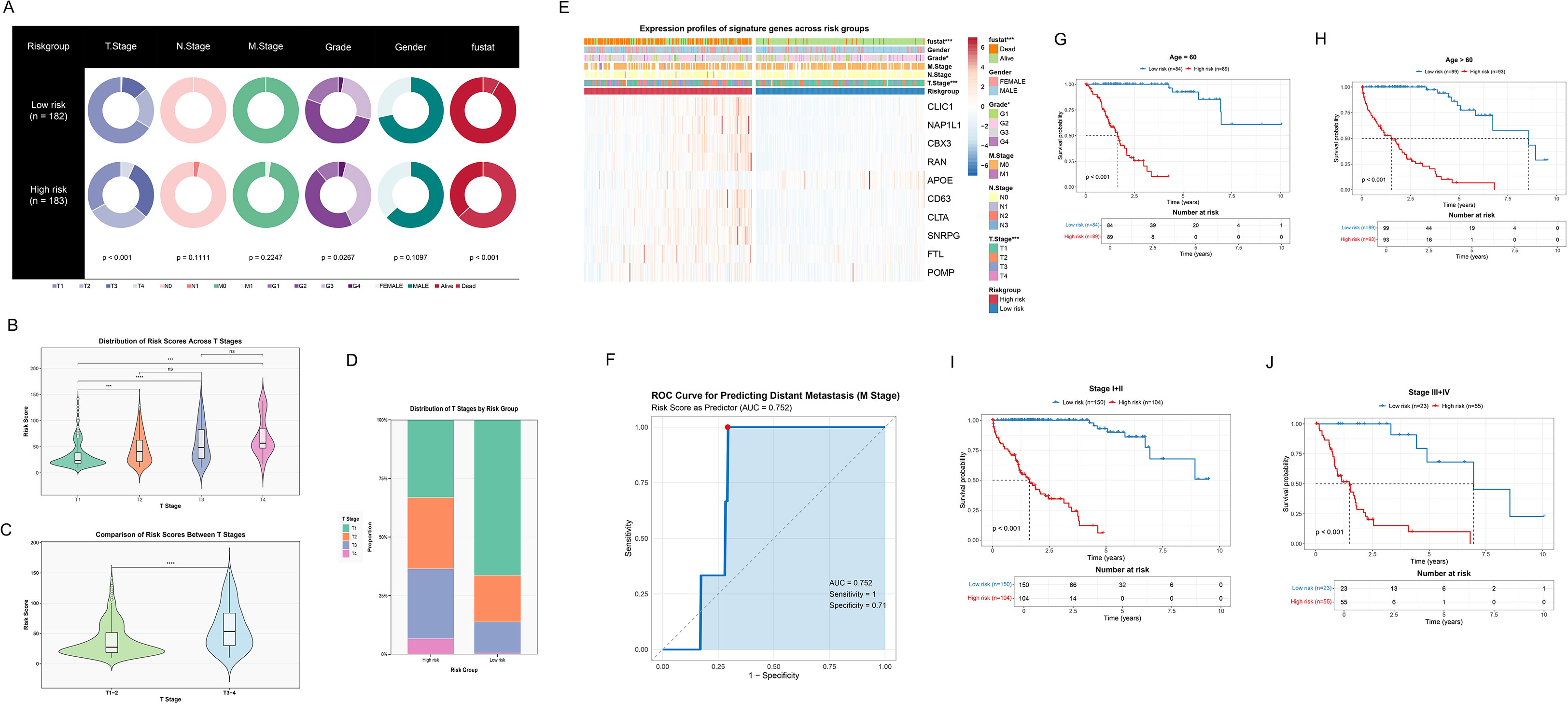 Image consists of multiple panels displaying data visualizations and analyses. Panel A shows donut charts comparing clinical variables and survival status between low and high-risk groups. Panel B includes a violin plot illustrating risk scores across T stages. Panel C compares risk scores between combined T stages. Panel D shows a bar chart of T stages by risk group. Panel E displays a heat map of gene expression profiles. Panel F includes a ROC curve predicting distant metastasis. Panels G, H, I, and J show Kaplan-Meier survival curves based on age and clinical stages, with statistical significance indicated.