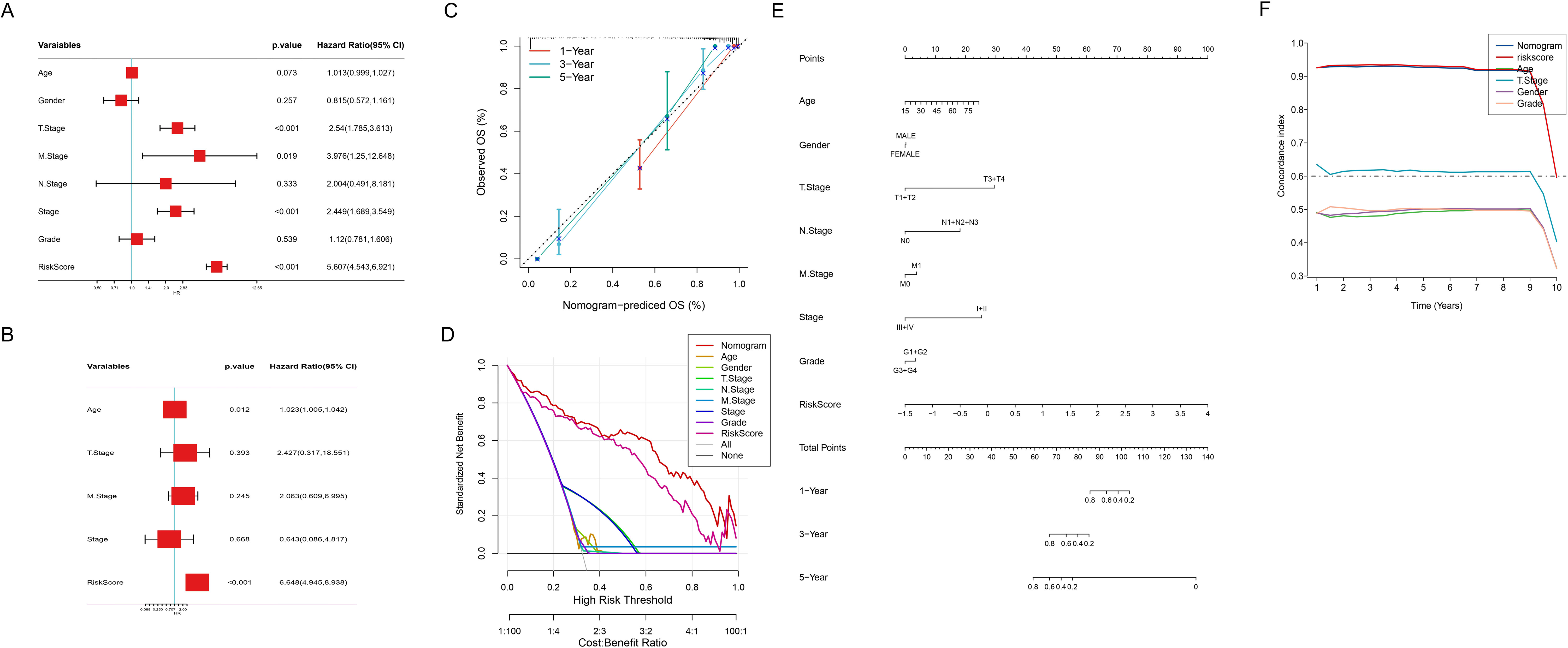 Panel of graphs and charts analyzing various clinical factors:  A. Bar graph showing hazard ratios for variables like age, gender, and risk score, with significant p-values highlighted for certain stages and risk scores.  B. Similar bar graph focusing on age, T. stage, M. stage, and risk score.  C. Line chart comparing observed versus nomogram-predicted overall survival (OS) over one, three, and five years.  D. Net benefit chart depicting the cost-benefit ratio against high-risk thresholds for different variables.  E. Nomogram illustrating points assigned to factors like age, gender, and risk score affecting one, three, and five-year survival predictions.  F. Concordance index line graph over time, differentiating factors like age and risk score with varying impacts on survival prediction accuracy.