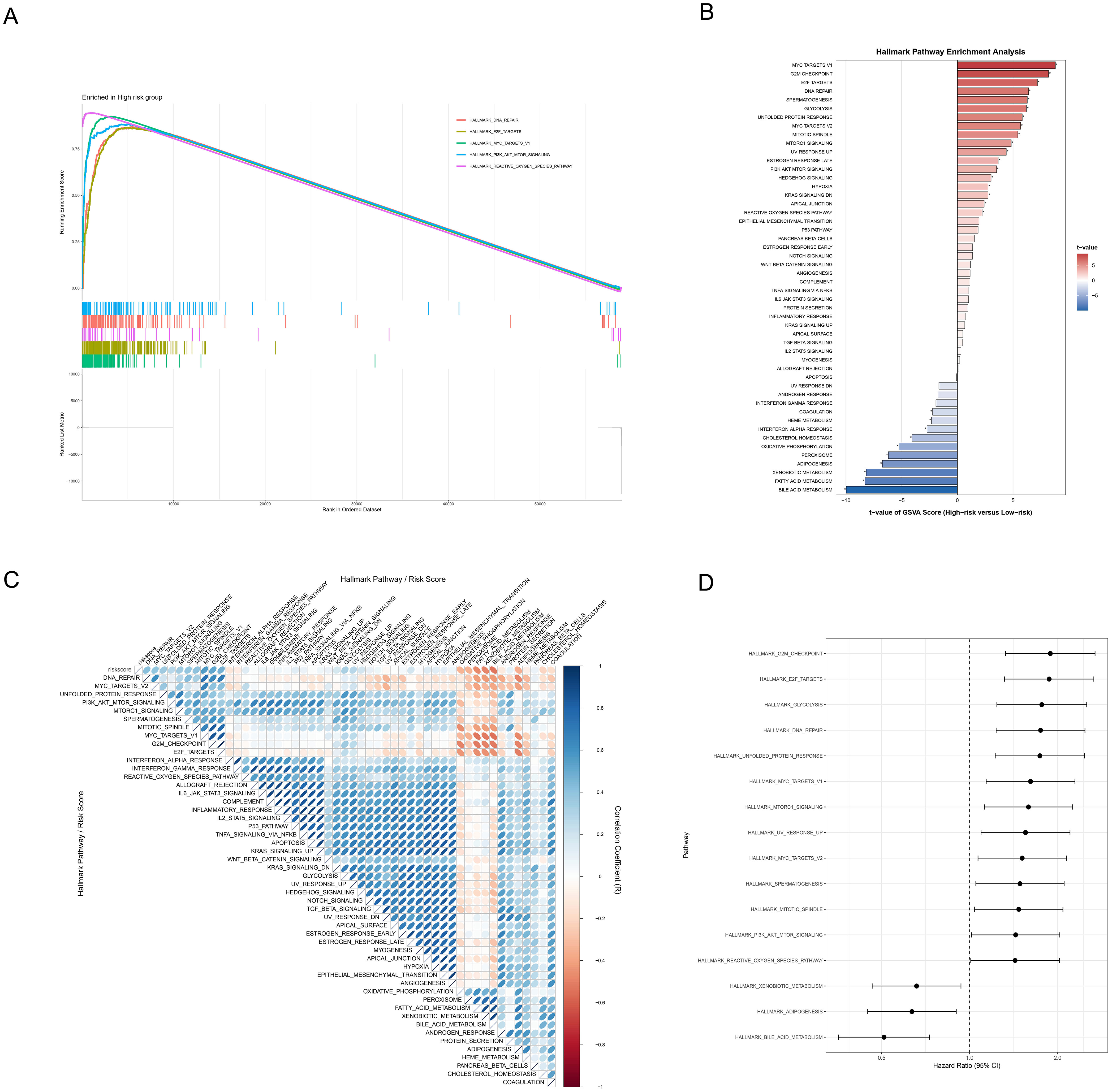Panel A shows a line graph of gene set enrichment in a high-risk group with multiple colored lines. Panel B presents a bar graph of hallmark pathway enrichment analysis, indicating positive and negative t-values. Panel C displays a heatmap matrix correlating various pathways with color gradients. Panel D features a forest plot showing hazard ratios with confidence intervals for several pathways.