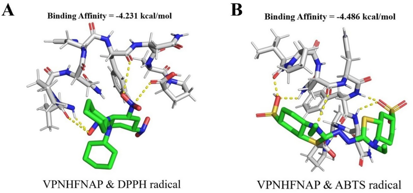 Molecular docking study showing interactions between VPNHFNAP with DPPH radical in image A and ABTS radical in image B. Image A has a binding affinity of negative four point two three one kilocalories per mole, and image B has a binding affinity of negative four point four eight six kilocalories per mole. Both structures highlight hydrogen bonds with yellow dotted lines.
