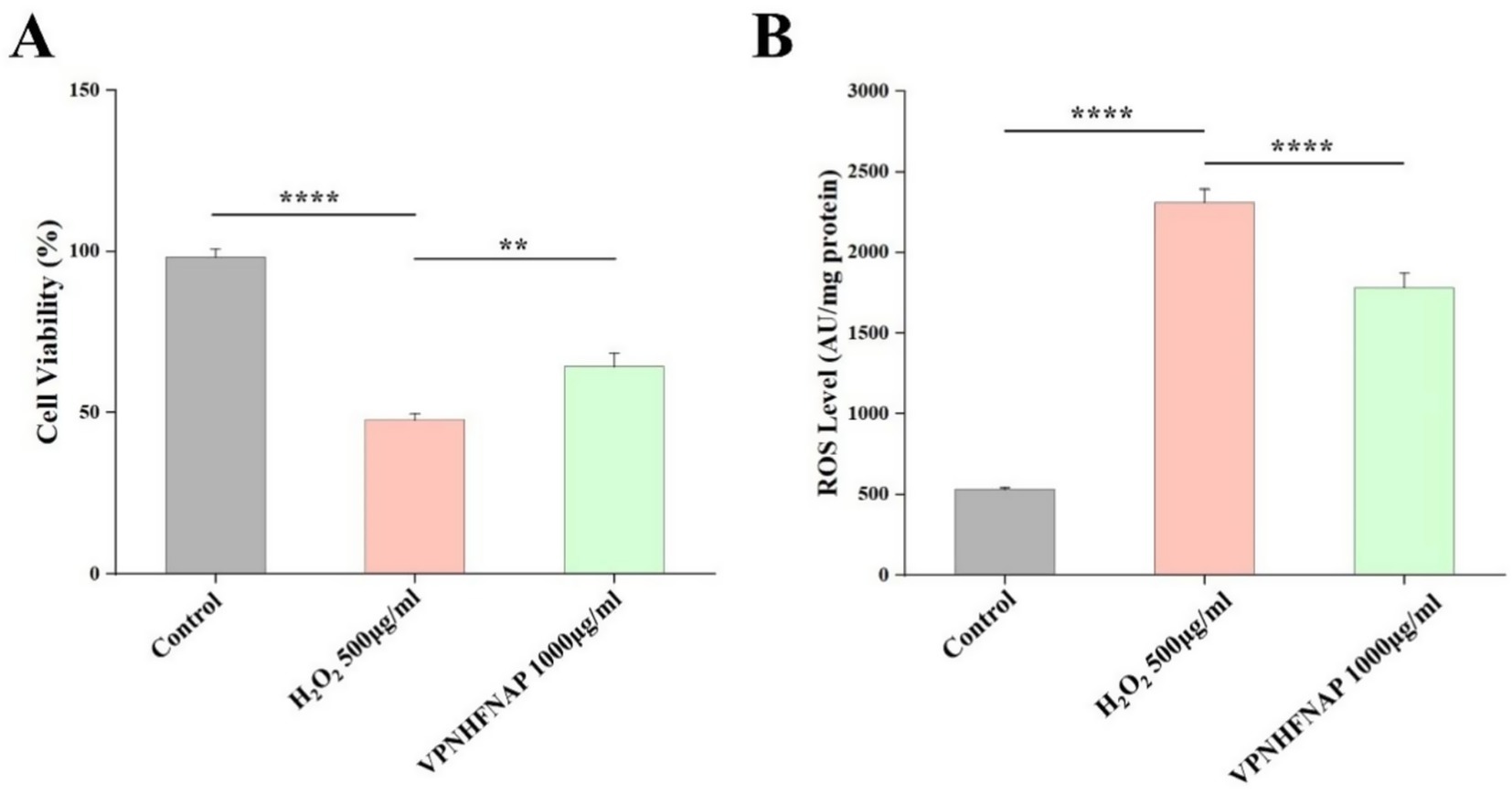 Graph A shows cell viability percentages for control, H2O2 (500 micrograms/milliliter), and VPNHFNAP (1000 micrograms/milliliter), with H2O2 significantly lower. Graph B shows ROS levels (AU/mg protein) with control, H2O2, and VPNHFNAP, where H2O2 is markedly higher. Statistically significant differences are indicated by asterisks.