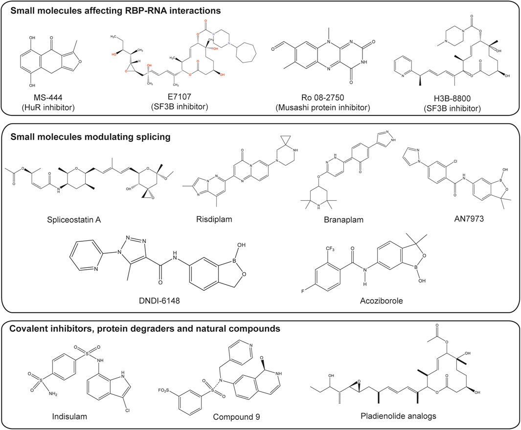 Chemical structures of small molecules categorized as affecting RBP-RNA interactions, modulating splicing, and acting as covalent inhibitors, protein degraders, and natural compounds. Includes specific inhibitors like MS-444, E7107, Ro 08-2750, H3B-8800, and others such as Spliceostatin A, Risdiplam, Indisulam, Compound 9, and Pladienolide analogs. Each structure is labeled accordingly.
