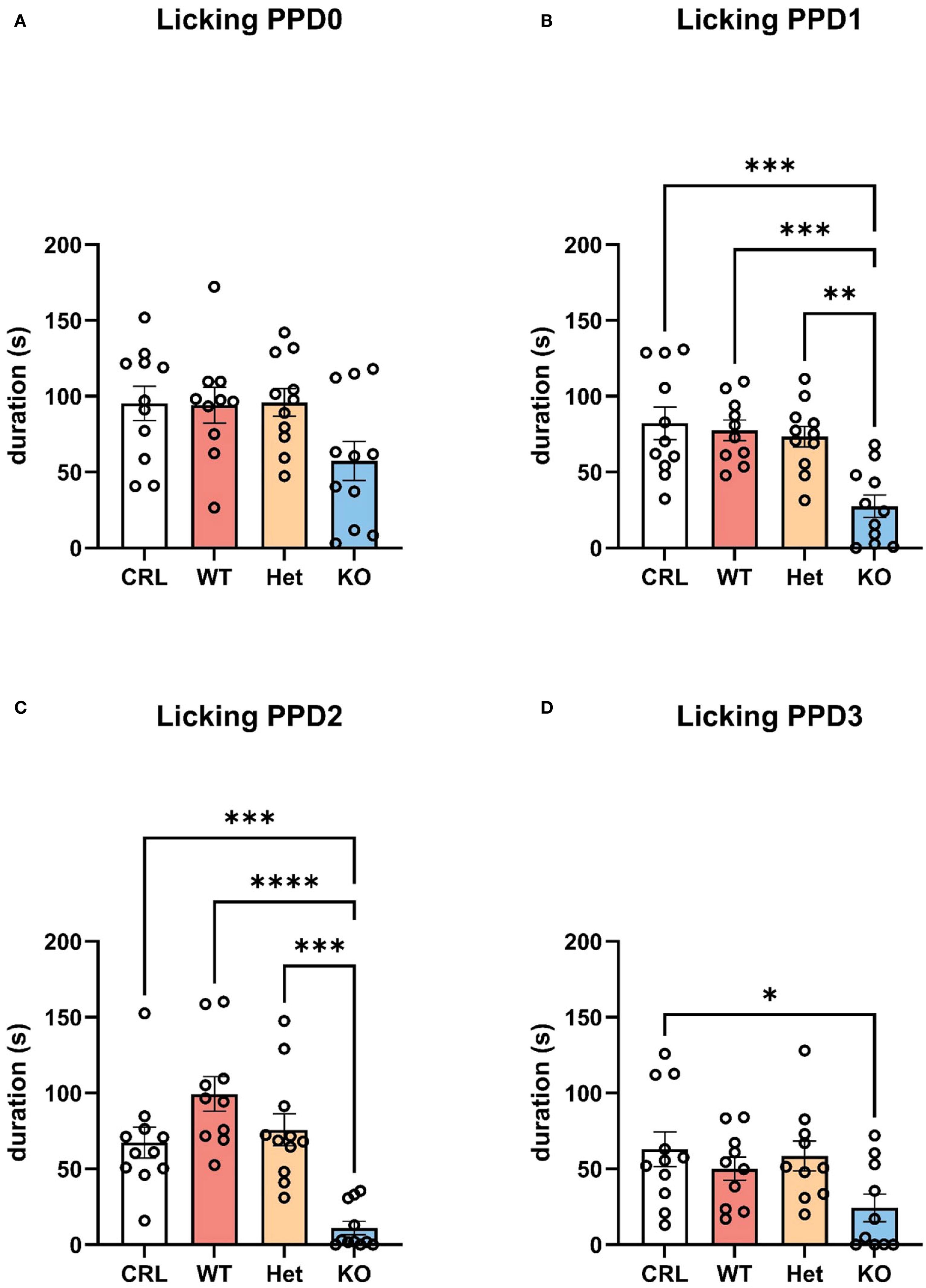 Four bar graphs labeled A, B, C, and D show licking durations (in seconds) for groups CRL, WT, Het, and KO over postnatal days PPD0 to PPD3. Significant differences among groups are marked with asterisks, with KO consistently showing lower durations. Error bars indicate variability.