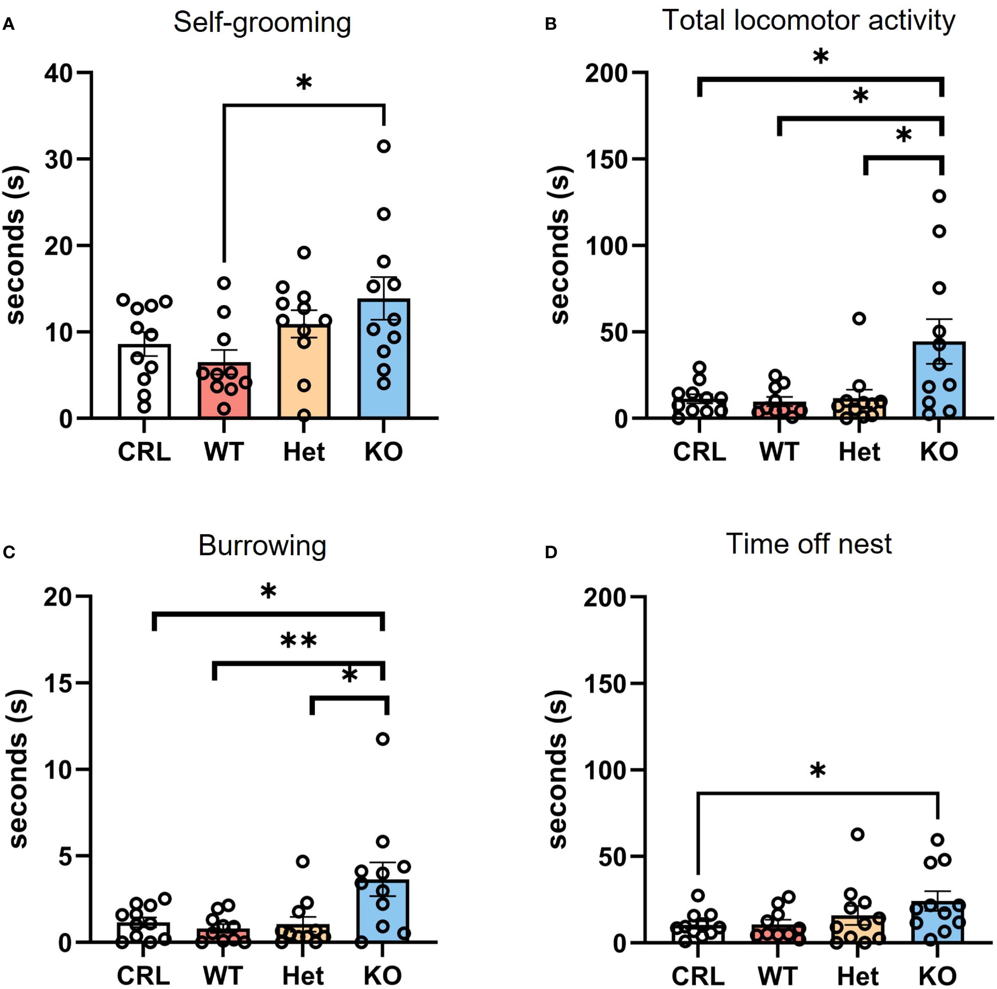 Bar graphs A, B, C, and D compare behavioral activities across four groups: CRL, WT, Het, and KO. A shows self-grooming, with KO highest. B shows total locomotor activity, with KO significantly higher. C shows burrowing, with KO highest and significant differences among groups. D shows time off nest, with CRL and KO having more seconds. Statistical significance is noted with asterisks.