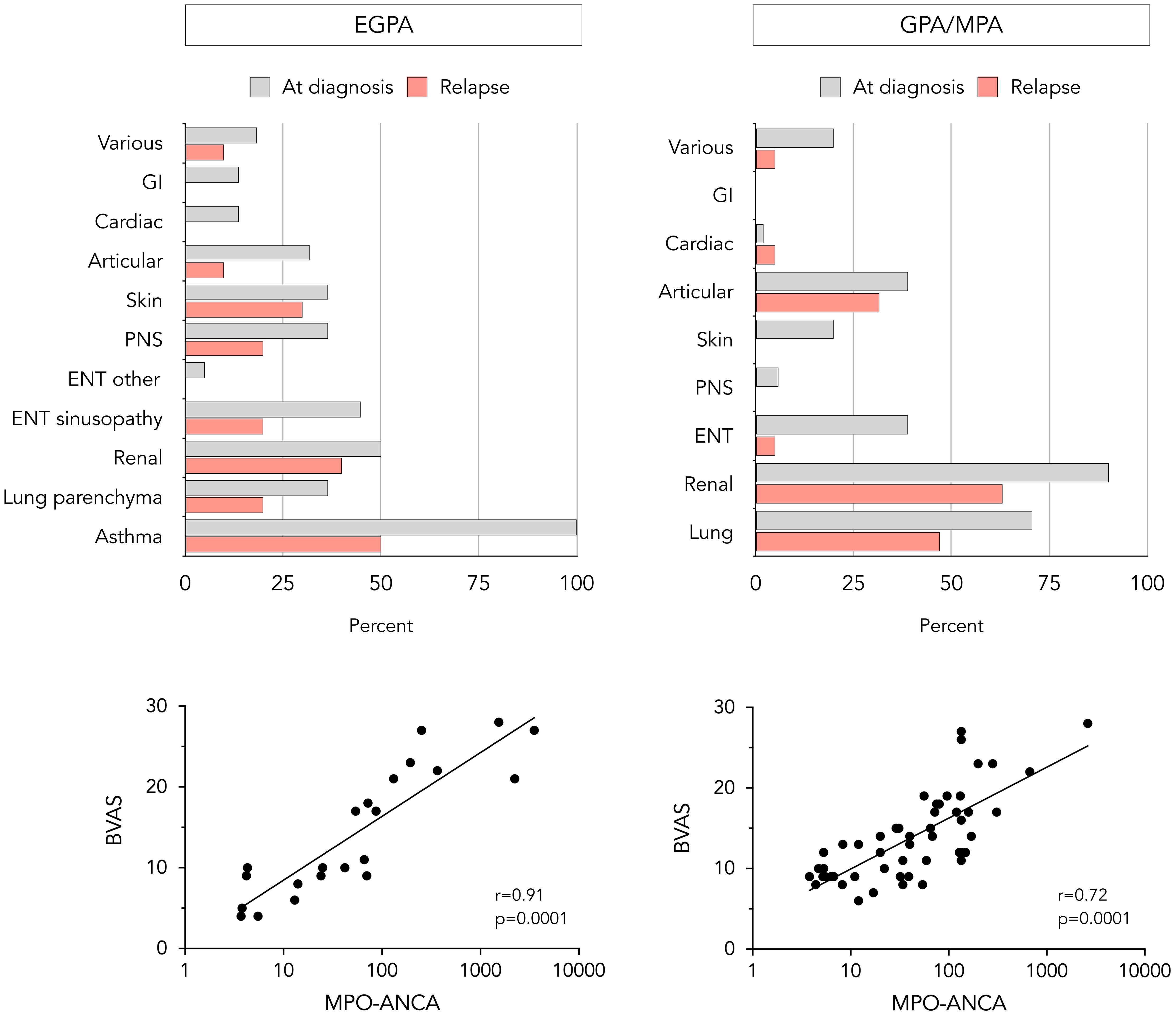 Bar charts and scatter plots comparing EGPA and GPA/MPA. The top row shows organ involvement percentages at diagnosis and relapse. EGPA shows high asthma involvement, while GPA/MPA shows high renal involvement. The bottom row features scatter plots correlating BVAS with MPO-ANCA levels; both show positive correlation.