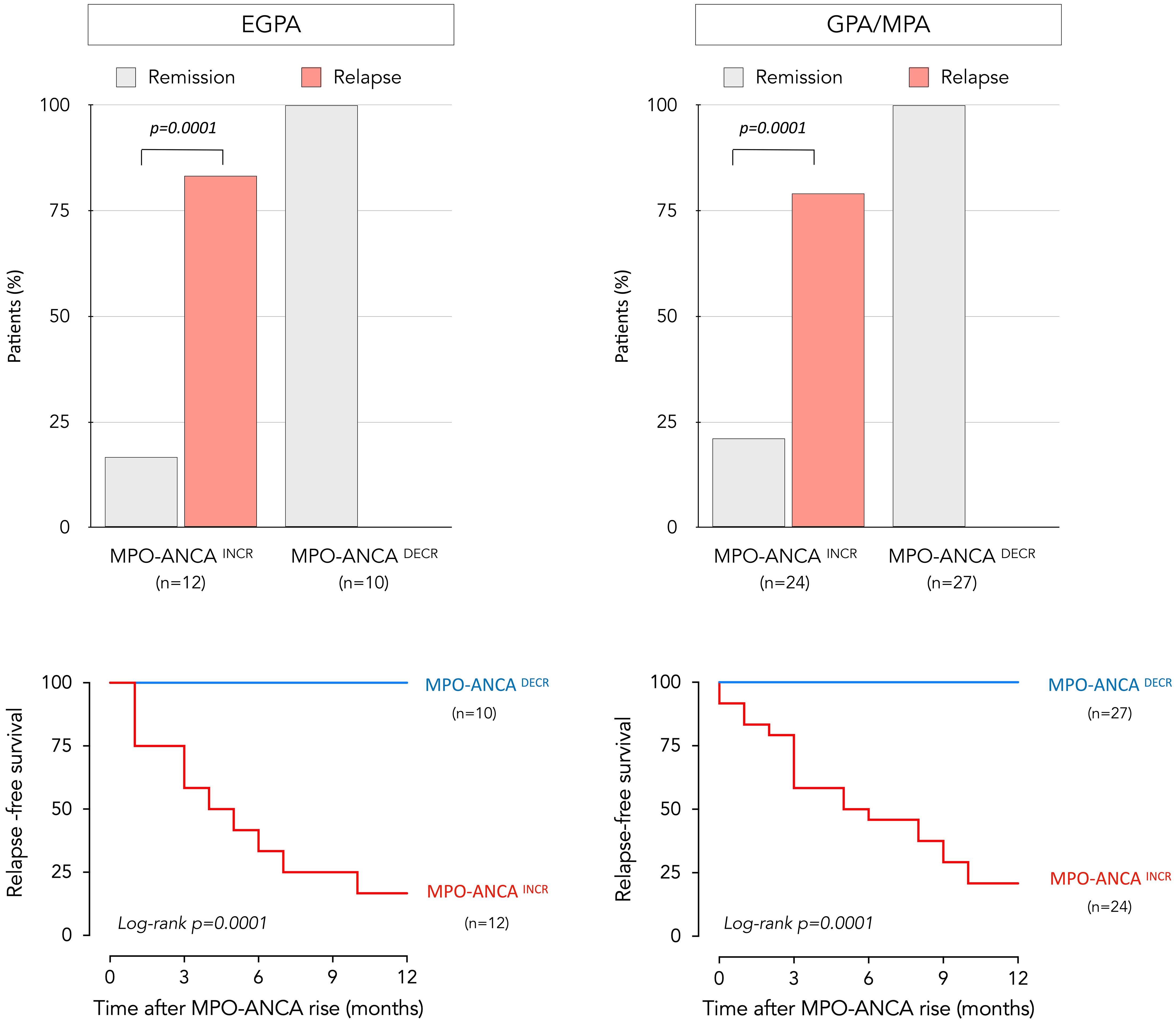 Bar and line graphs illustrate the relapse and remission percentages for EGPA and GPA/MPA patients based on MPO-ANCA levels. In the bar graphs, increased MPO-ANCA levels show higher relapse percentages compared to decreased levels. The line graphs demonstrate relapse-free survival over twelve months, with declining survival rates for increased MPO-ANCA levels. Both analyses indicate statistical significance with p-values of 0.0001.