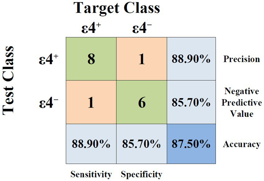 Confusion matrix with test and target classes ε4+ and ε4-. True positives are eight, false positives are one, false negatives are one, and true negatives are six. The matrix shows precision as 88.90%, negative predictive value as 85.70%, sensitivity as 88.90%, specificity as 85.70%, and overall accuracy as 87.50%.