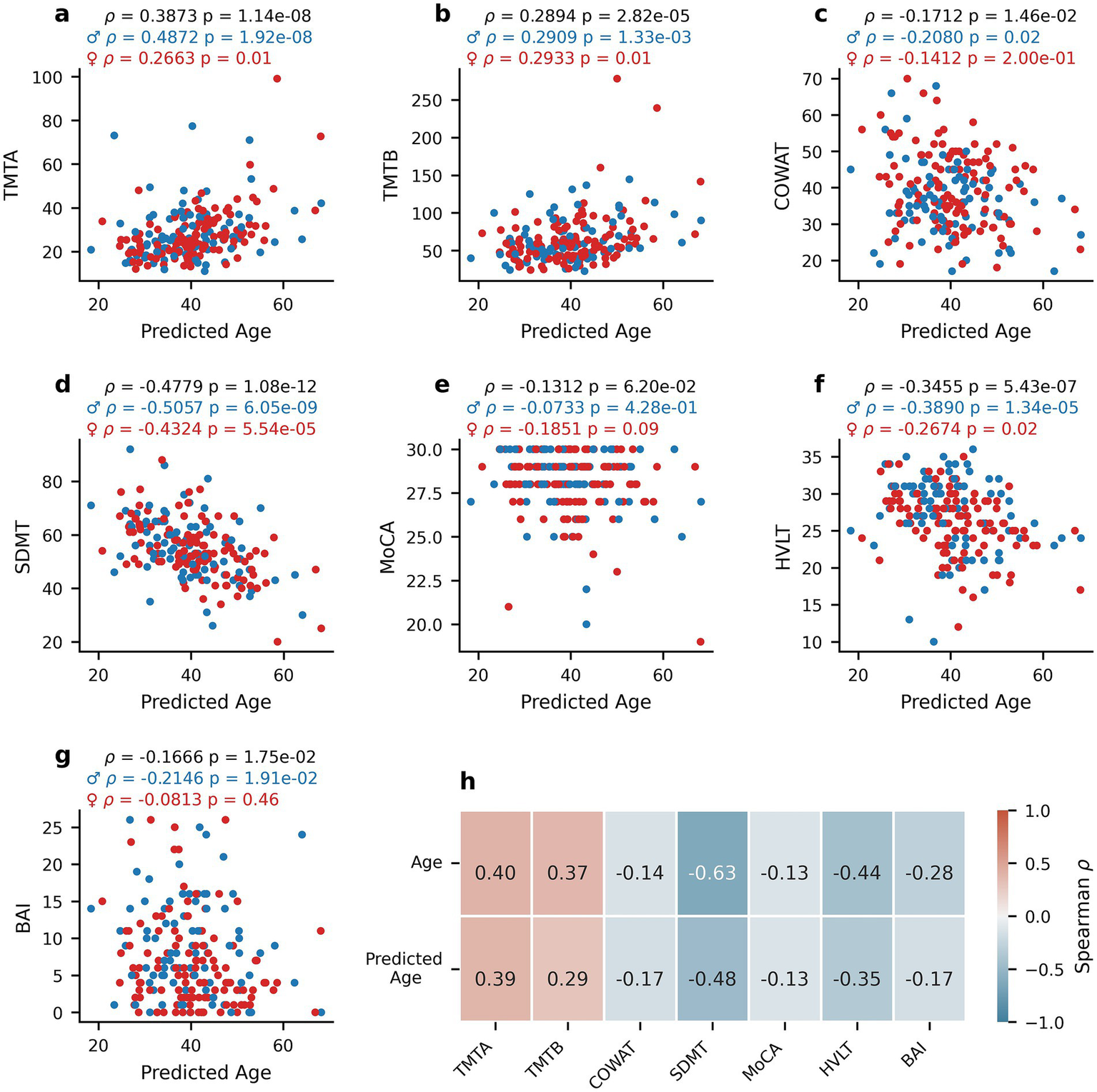 Scatter plots and a heatmap depicting correlations between predicted age and various cognitive tests, including TMTA, TMTB, COWAT, SDMT, MoCA, HVLT, and BAI. Each scatter plot shows data points in red and blue, representing two groups. Correlation coefficients (\(\rho\)) and p-values are noted for each plot. The heatmap in the lower-right corner displays Spearman correlation values between age, predicted age, and test scores, with color gradients indicating the strength and direction of correlations.
