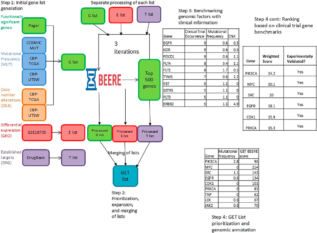 Flowchart depicting a gene prioritization process across four steps. Step 1 generates initial gene lists, including functional, mutational, copy number alterations, and differential expression data. These lists go through three iterations in BEERE to process and select the top five hundred genes. Step 2 involves prioritization, expansion, and merging of these lists into a GET list. Step 3 benchmarks genomic factors with clinical information. Step 4 ranks genes based on clinical trial benchmarks, showing weighted scores and experimental validation status. Tables provide detailed data on gene occurrences, mutational frequency, CNA, and scores.