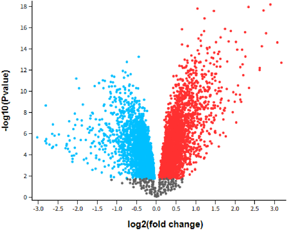 Volcano plot displaying gene expression data. The x-axis represents log2 fold change, and the y-axis represents negative log10 p-value. Red and blue dots indicate significantly upregulated and downregulated genes respectively, while gray dots represent non-significant genes.