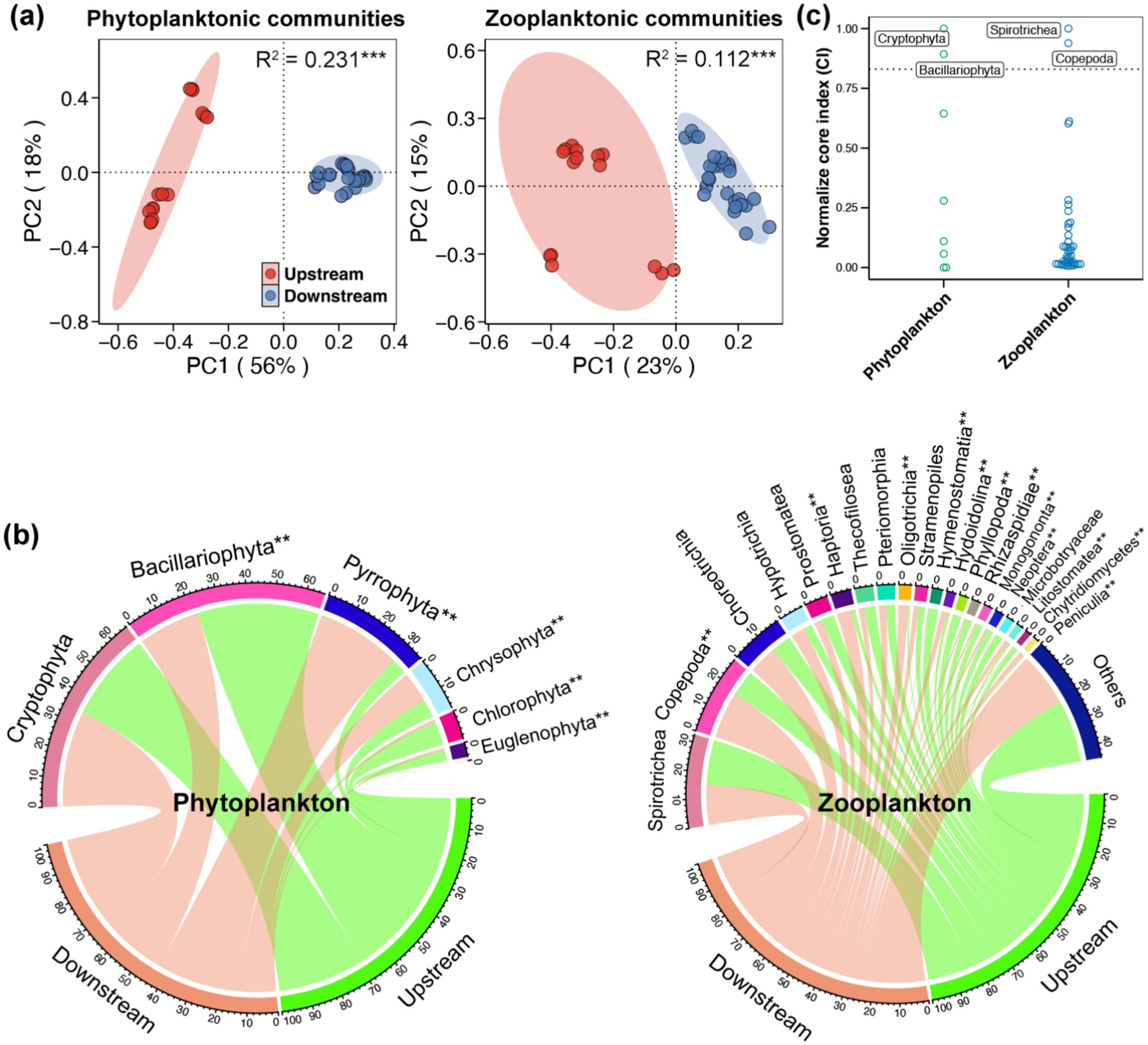 Three-part visual representation. (a) Two scatter plots showing principal component analysis of phytoplanktonic and zooplanktonic communities with upstream and downstream differentiation. (b) Two circular diagrams detailing proportions of various phytoplankton and zooplankton communities distributed between upstream and downstream. (c) A box plot comparing normalized core index (CI) between phytoplankton and zooplankton, highlighting specific groups like Cryptophyta and Spirotrichea.