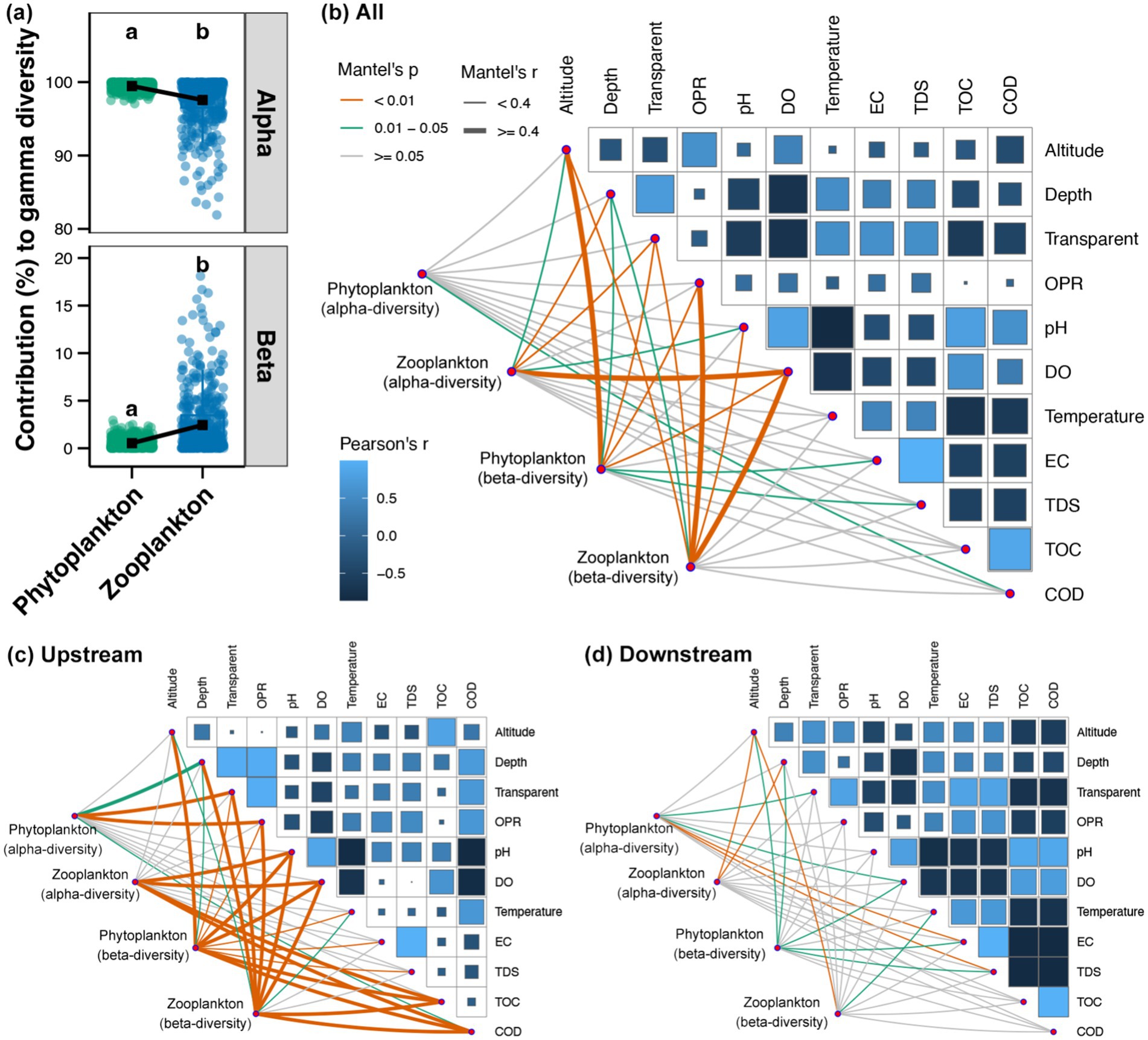 (a) Two scatter plots showing the contribution of alpha and beta diversity for phytoplankton and zooplankton to gamma diversity. (b) A correlation matrix showing relationships between environmental factors and diversities, with colored lines indicating Mantel's p and r values. (c) Correlation matrix for upstream data. (d) Correlation matrix for downstream data. Colors represent Pearson’s r, with gradients from blue to white.