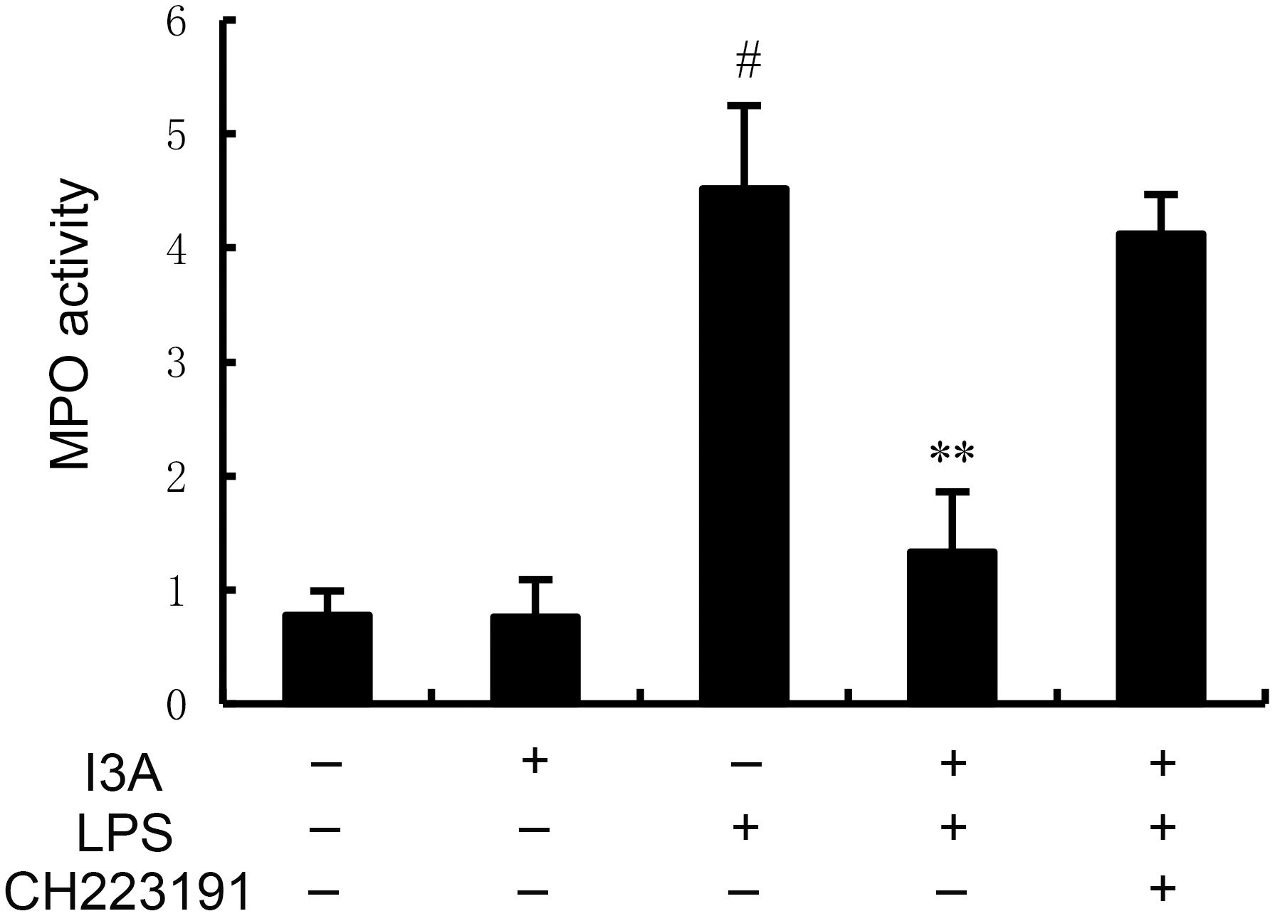 Bar graph displaying MPO activity across four conditions: Control, I3A, LPS, and CH223191. The highest activity is observed with LPS alone. I3A plus LPS shows moderate activity, while control and I3A alone show low activity. Error bars indicate variability. Conditions are marked with “#” and “**” for significance.