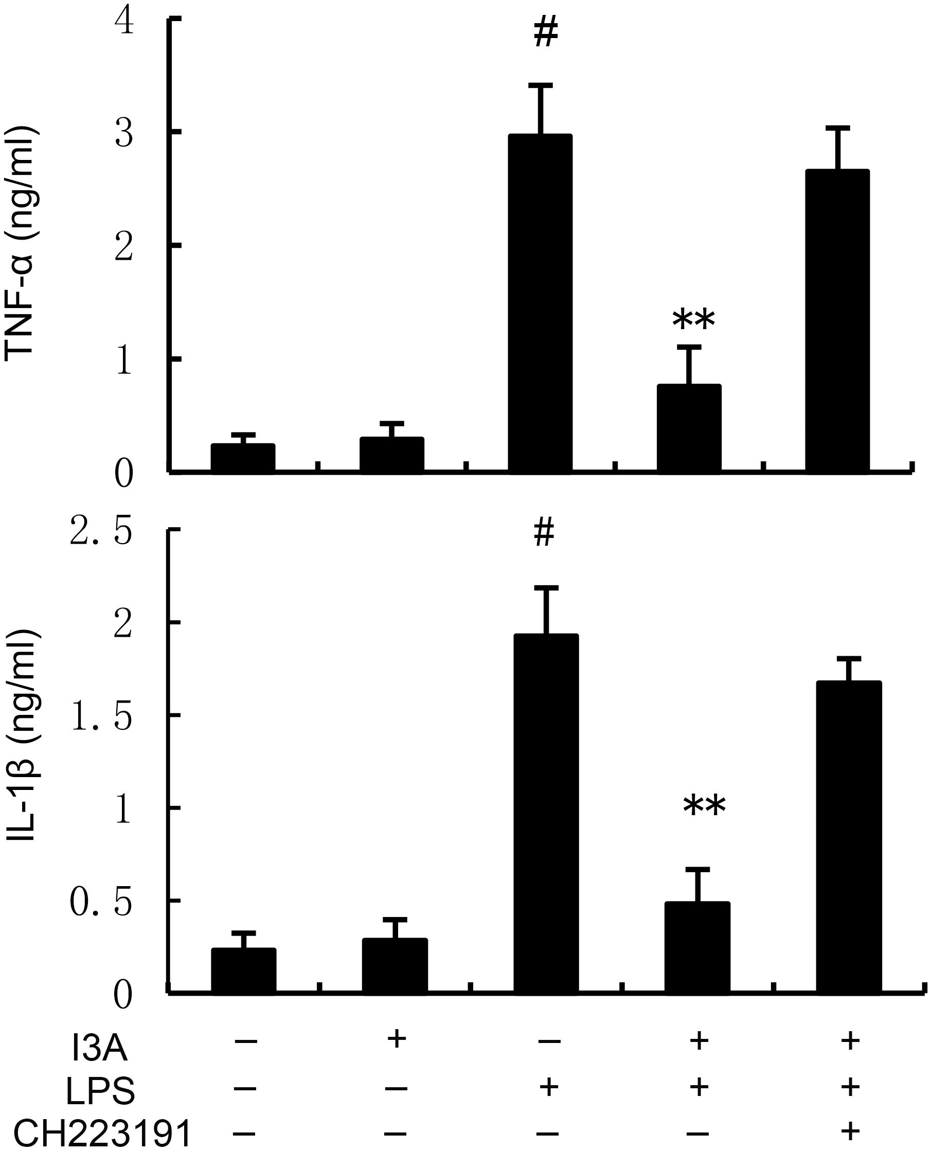 Bar charts display the levels of TNF-alpha and IL-1beta in nanograms per milliliter under different treatments. The TNF-alpha chart shows a significant increase with LPS, with a reduction when combined with I3A. IL-1beta follows a similar pattern, indicating a decrease with I3A plus LPS compared to LPS alone. The legend indicates presence or absence of treatments I3A, LPS, and CH223191. Hashtags and asterisks signify statistical significance.