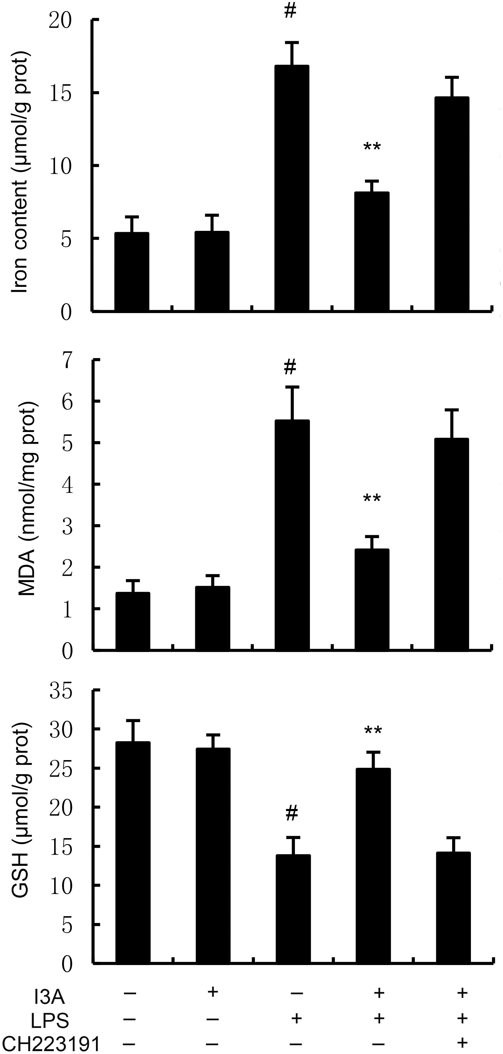 Three vertical bar graphs show the effects of different treatments on iron content, MDA, and GSH levels. The bars represent different conditions for I3A, LPS, and CH223191 treatments. Iron content and MDA levels increase significantly with LPS treatment, marked by a hash symbol, while I3A reduces these effects, indicated by double asterisks. GSH levels decrease with LPS and increase with I3A treatment.