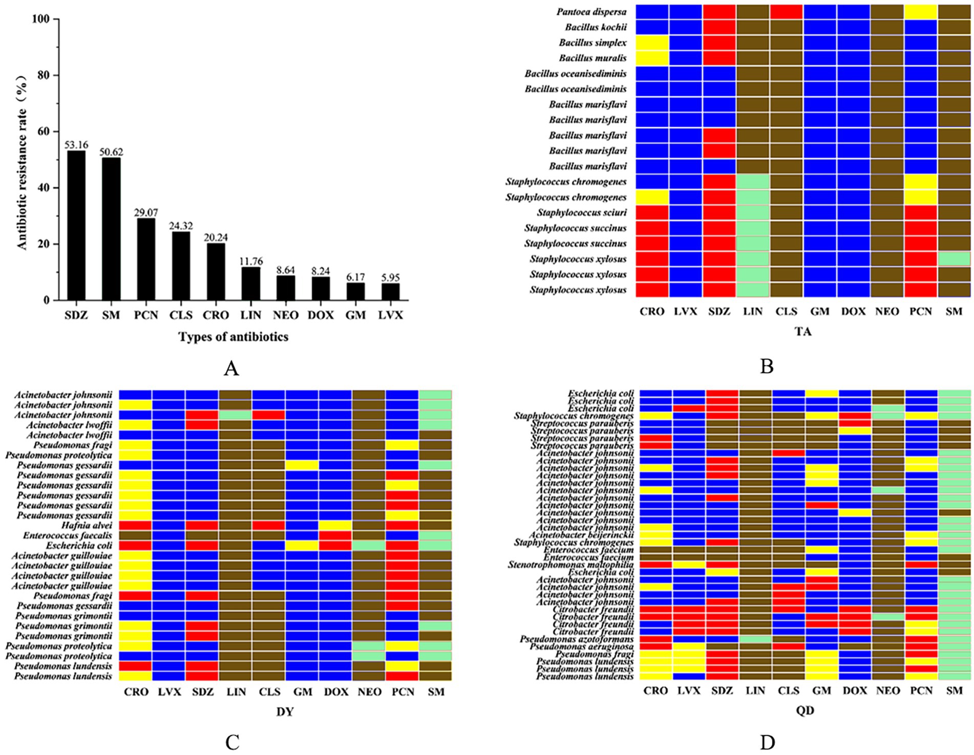 Chart and heatmaps showing antibiotic resistance. Bar chart (A) displays resistance rates for various antibiotics, with SDZ and SM showing higher resistance. Heatmaps (B, C, D) illustrate resistance patterns across bacterial species against different antibiotics. Blue, red, yellow, brown, and green indicate varying resistance levels.