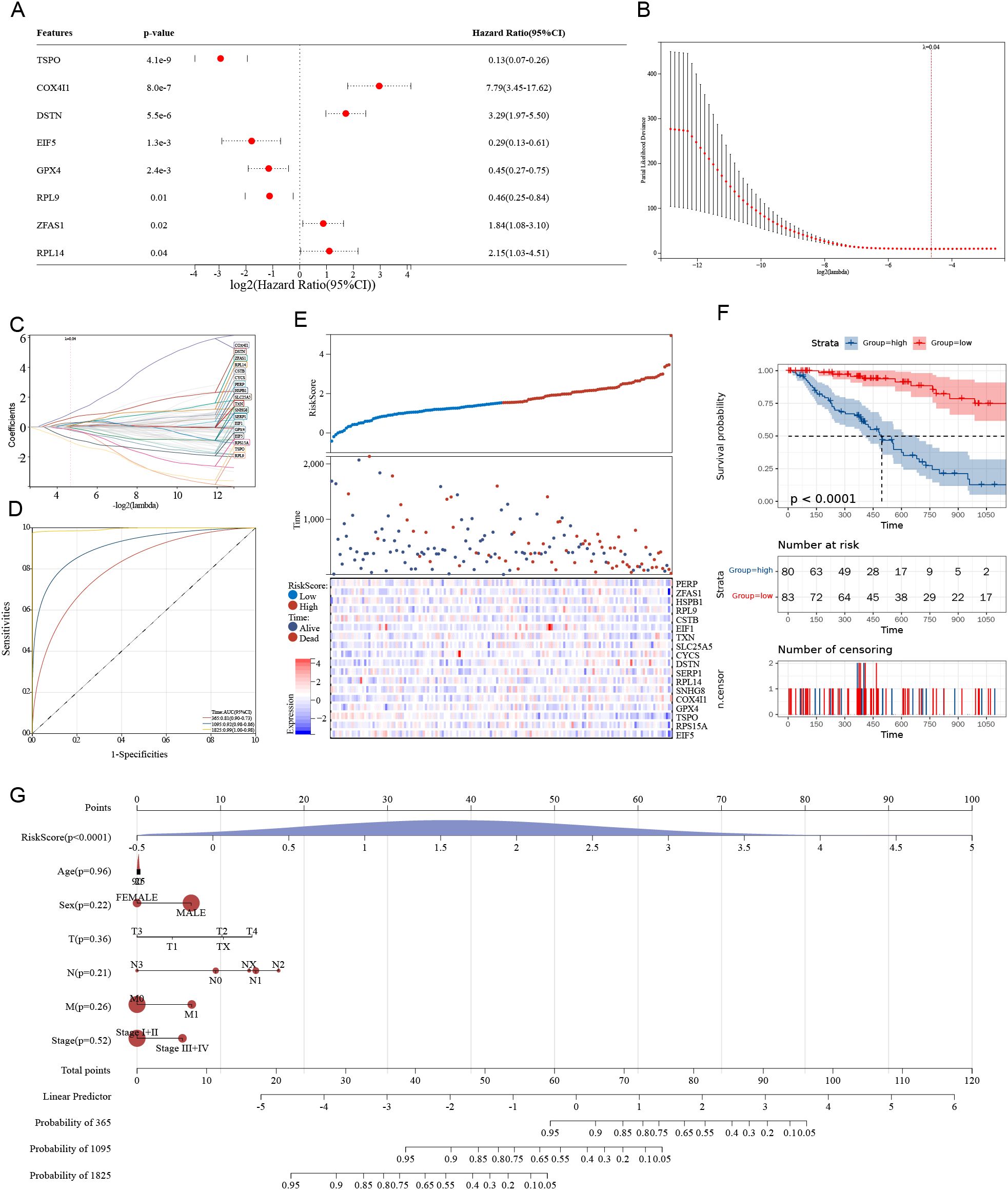 The image contains a series of plots and charts related to a statistical analysis. Panel A shows a forest plot with hazard ratios for different features. Panel B features a plot for p-values against features. Panel C illustrates a coefficient trajectory plot for variables. Panel D presents a receiver operating characteristic curve showing sensitivities and specificities. Panel E displays a risk score analysis with heatmaps and survival status over time. Panel F includes a Kaplan-Meier survival plot comparing different strata. Panel G is a nomogram predicting probabilities based on risk scores and other factors.