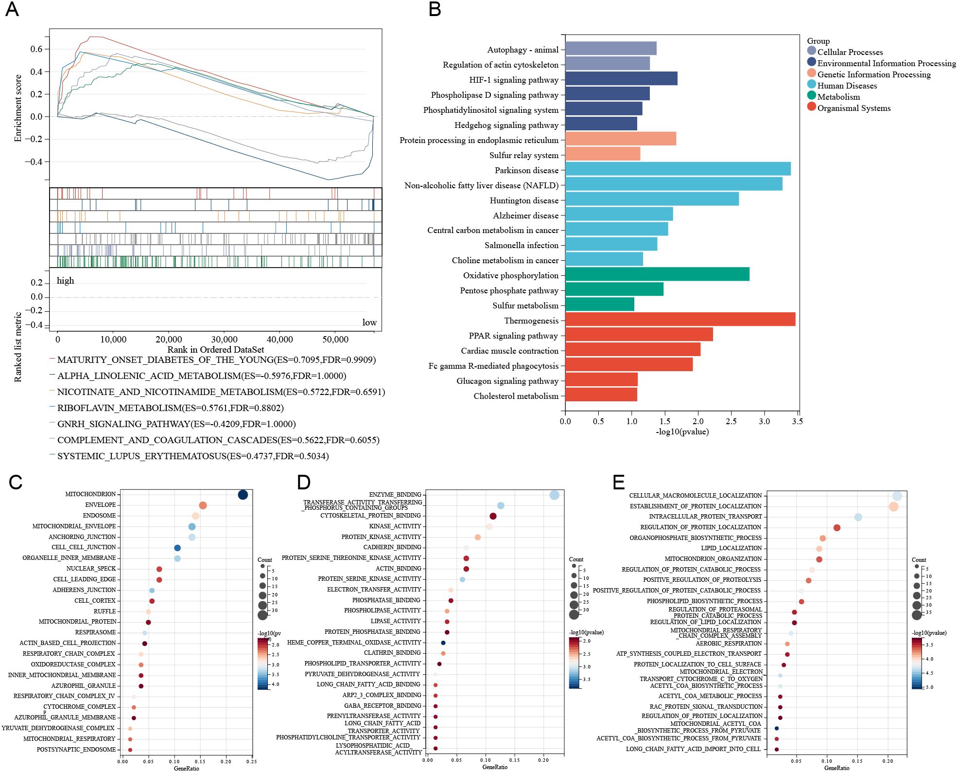 Panel A shows a line graph of enrichment scores for various metabolic pathways with data sets ranked from high to low. Panel B presents a bar chart of pathway analysis categorized by group with p-values. Panels C, D, and E each display dot plots of enriched terms, showing counts and significance for molecular and cellular functions with varying bubble sizes and colors.