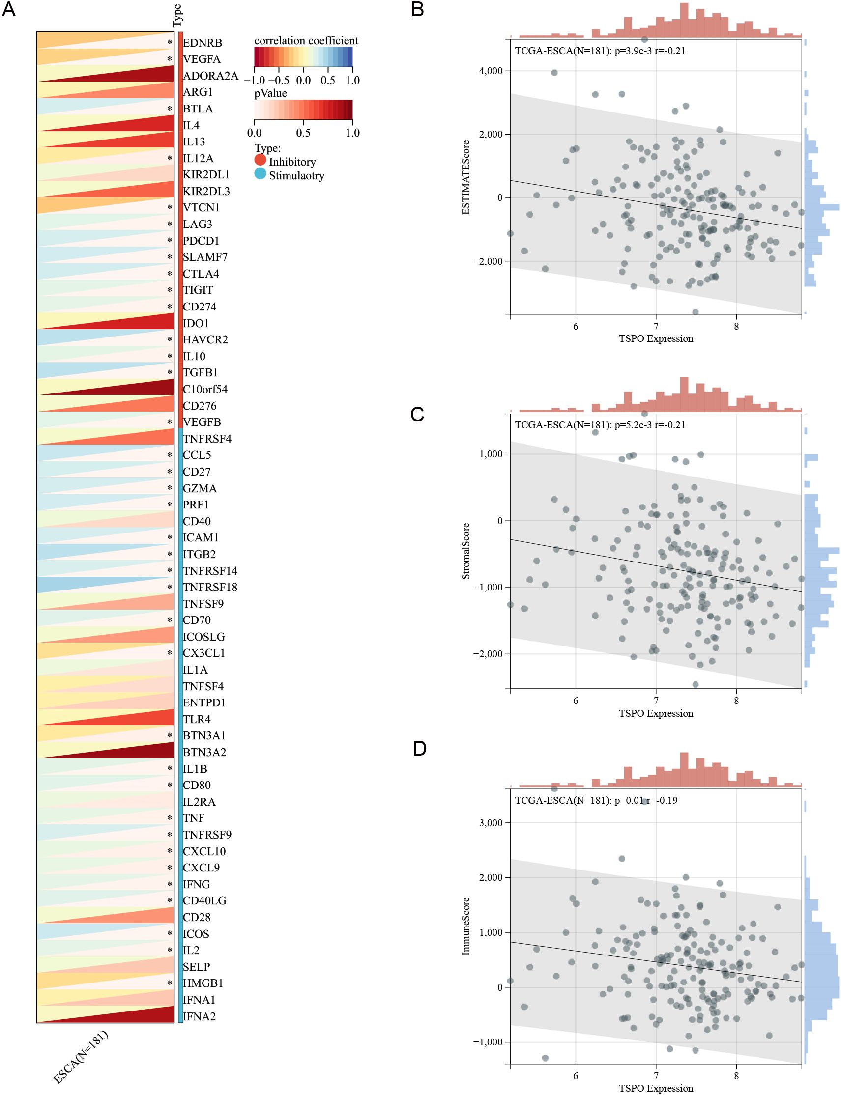 Panel A displays a heatmap showing the correlation coefficients of various genes with ESCA, color-coded from blue to red, indicating correlation strength and significance. Panel B features a scatter plot depicting the relationship between TSPO expression and ESTIMATEScore, with a negative correlation (r=-0.21). Panel C illustrates a similar scatter plot for StromalScore, also showing a negative correlation (r=-0.21). Panel D presents the correlation between TSPO expression and ImmuneScore, showing a slight negative correlation (r=-0.19). Each scatter plot includes marginal histograms for TSPO expression and respective scores.