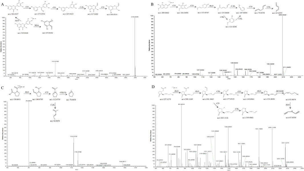 Mass spectrometry charts labeled A, B, C, and D, each depicting various molecular structures, fragmentation patterns, and corresponding mass-to-charge ratios (m/z). Peaks indicate compound mass, with structural details above.