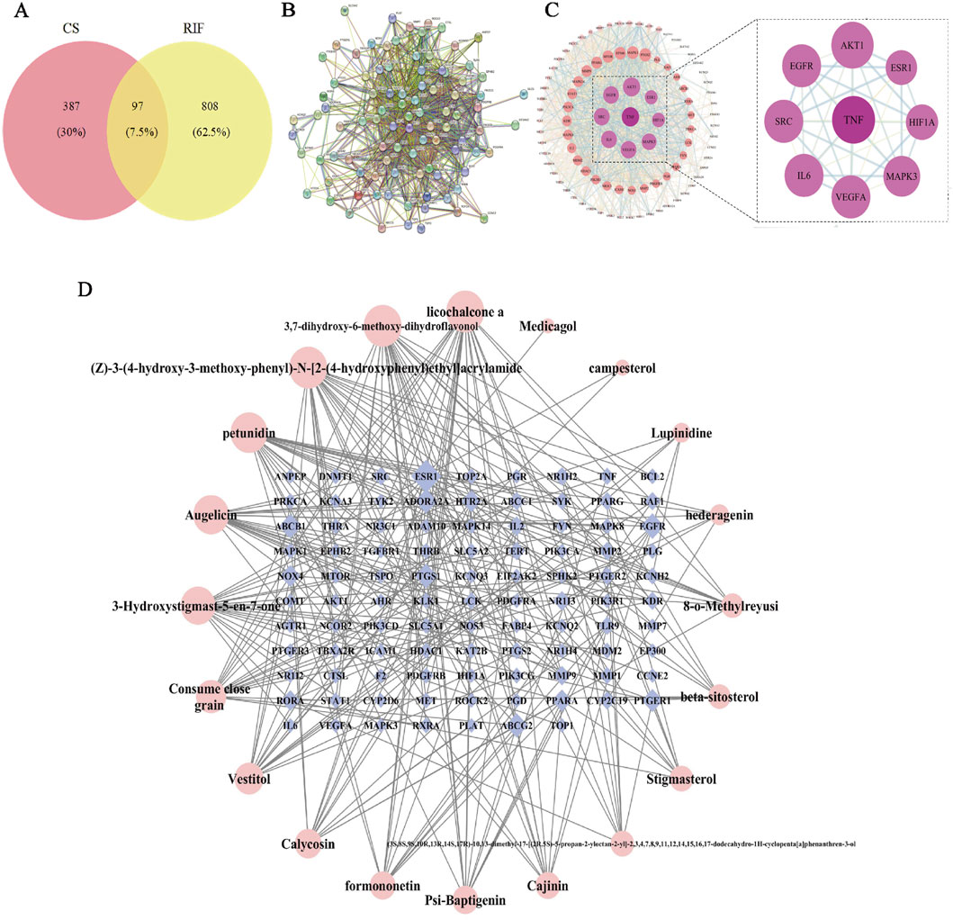 A composite image with four panels labeled A, B, C, and D. Panel A shows a Venn diagram comparing CS and RIF groupings, with 30% unique to CS, 7.5% overlap, and 62.5% unique to RIF. Panel B displays a complex network of interconnected nodes and lines. Panel C features a circular node graph with a magnified segment highlighting nodes labeled AKT1, ESR1, HIF1A, TNF, among others. Panel D illustrates a network graph linking chemical compounds to various genes, highlighting connections with lines and nodes.