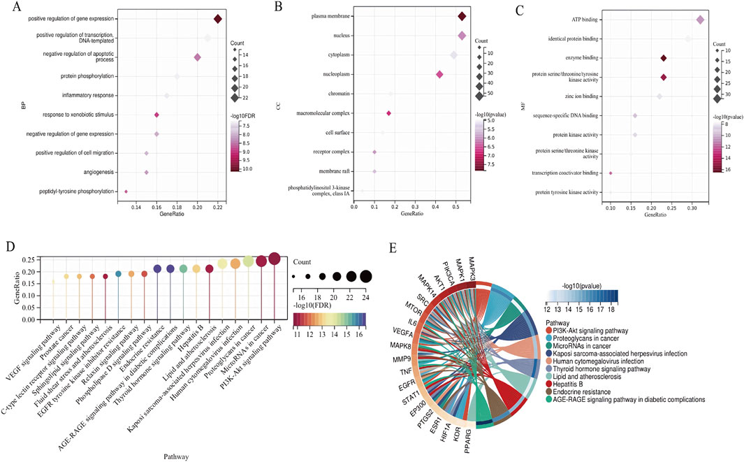 Graphical analysis of biological processes (A), cellular components (B), molecular functions (C), pathways (D), and interactions (E). Panels A to C use bubble plots showing gene ratio versus count, with colors representing statistical significance. Panel D displays a bar chart of pathways, highlighting gene ratios in various pathways. Panel E presents a circular diagram of gene-pathway interactions, color-coded by pathways.
