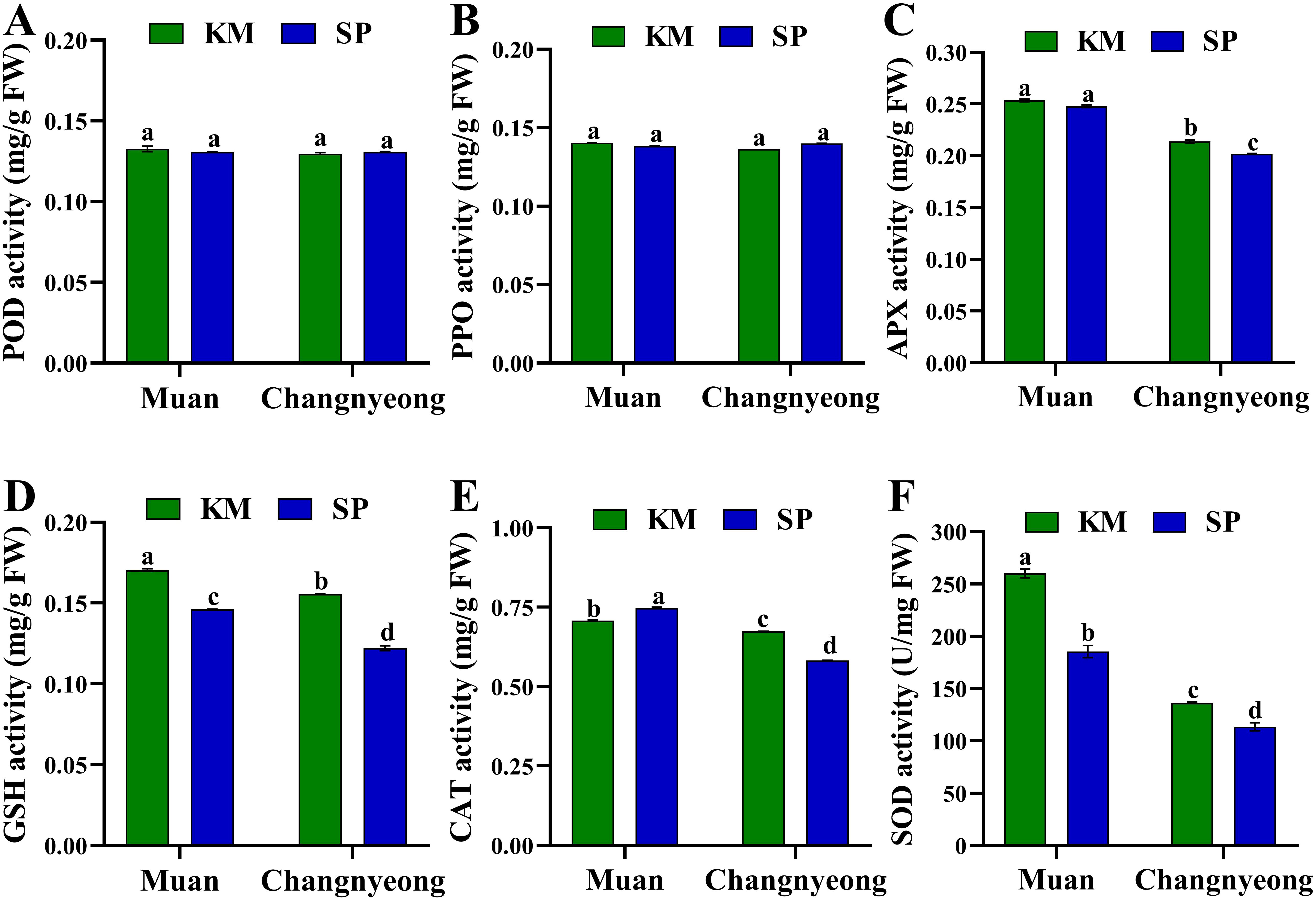Bar graphs labeled A to F depict enzyme activities (POD, PPO, APX, GSH, CAT, and SOD) in Muan and Changnyeong with green (KM) and blue (SP) bars. Significant differences are marked by letters a to d.