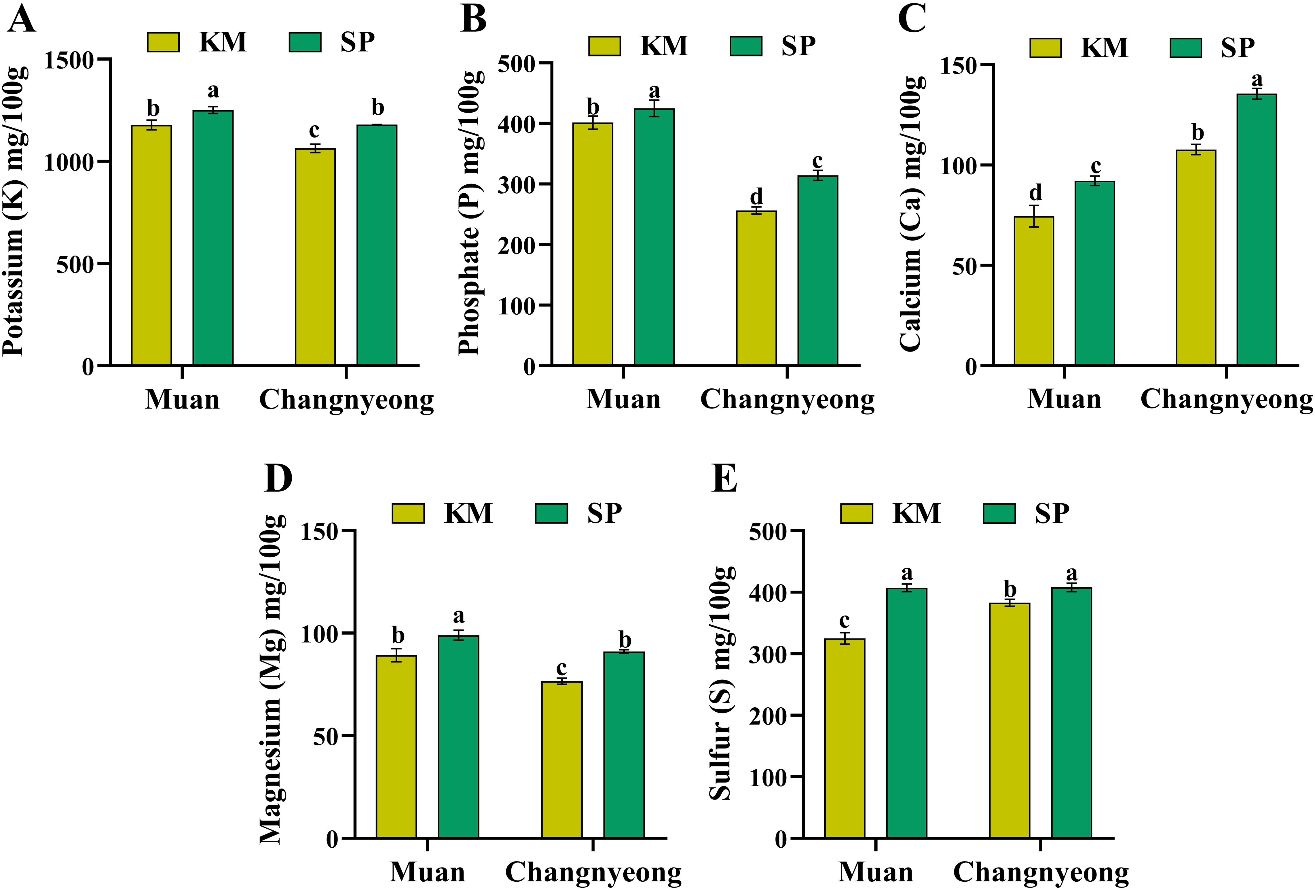 Five bar graphs compare nutrient levels (potassium, phosphate, calcium, magnesium, sulfur) in Muan and Changnyeong using two Onion verities (KM and SP). Each graph shows varying nutrient levels, with annotations for statistical significance.
