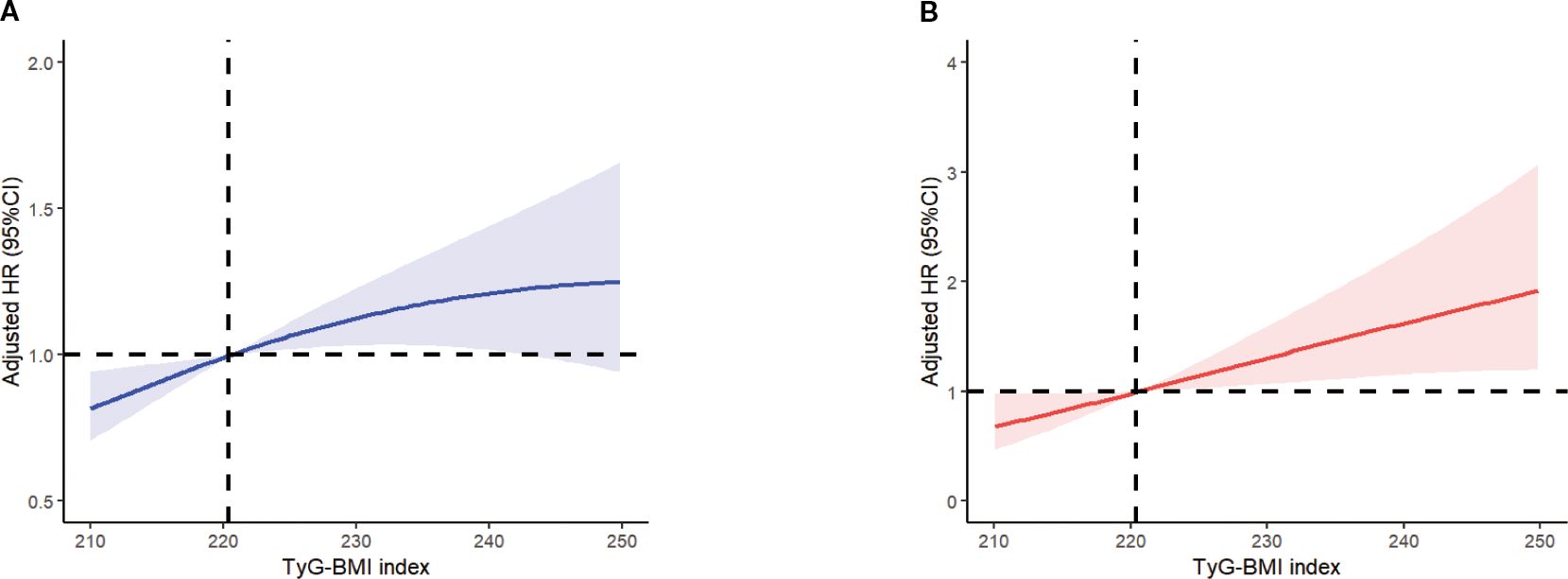 Two graphs labeled A and B show the relationship between the TyG-BMI index and adjusted hazard ratio with 95% confidence intervals. Graph A features a blue line with a confidence interval band, while Graph B features a red line with its own confidence interval band. Both graphs display an upward trend starting from a baseline adjusted hazard ratio of one as the TyG-BMI index increases from 210 to 250. Dashed vertical and horizontal lines mark the axis intersections.