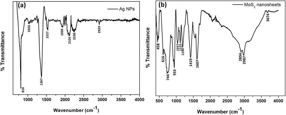 Two FTIR spectra graphs comparing transmittance versus wavenumber. Graph (a) shows Ag nanoparticles with sharp peaks at 810, 1026, 1367, and 1527 cm⁻¹. Additional peaks are seen at 1930, 2105, 2236, and 2929 cm⁻¹. Graph (b) represents MoS₂ nanosheets with peaks at 458, 616, 744, 933, 1037, 1125, 1190, 1419, 1607, 2894, 2987, and 3674 cm⁻¹. Both graphs include respective labeled peaks and trends in transmittance over the wavenumber range.