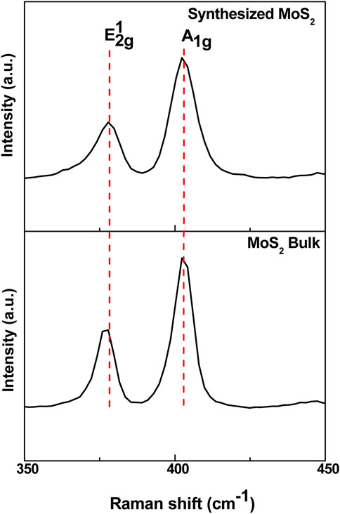 Raman spectra of synthesized and bulk MoS₂, featuring two peaks labeled \( E_{2g}^1 \) and \( A_{1g} \). The synthesized spectrum shows these peaks with slightly shifted positions compared to the bulk spectrum, measured between 350 and 450 cm⁻¹. Red dashed lines indicate peak positions.
