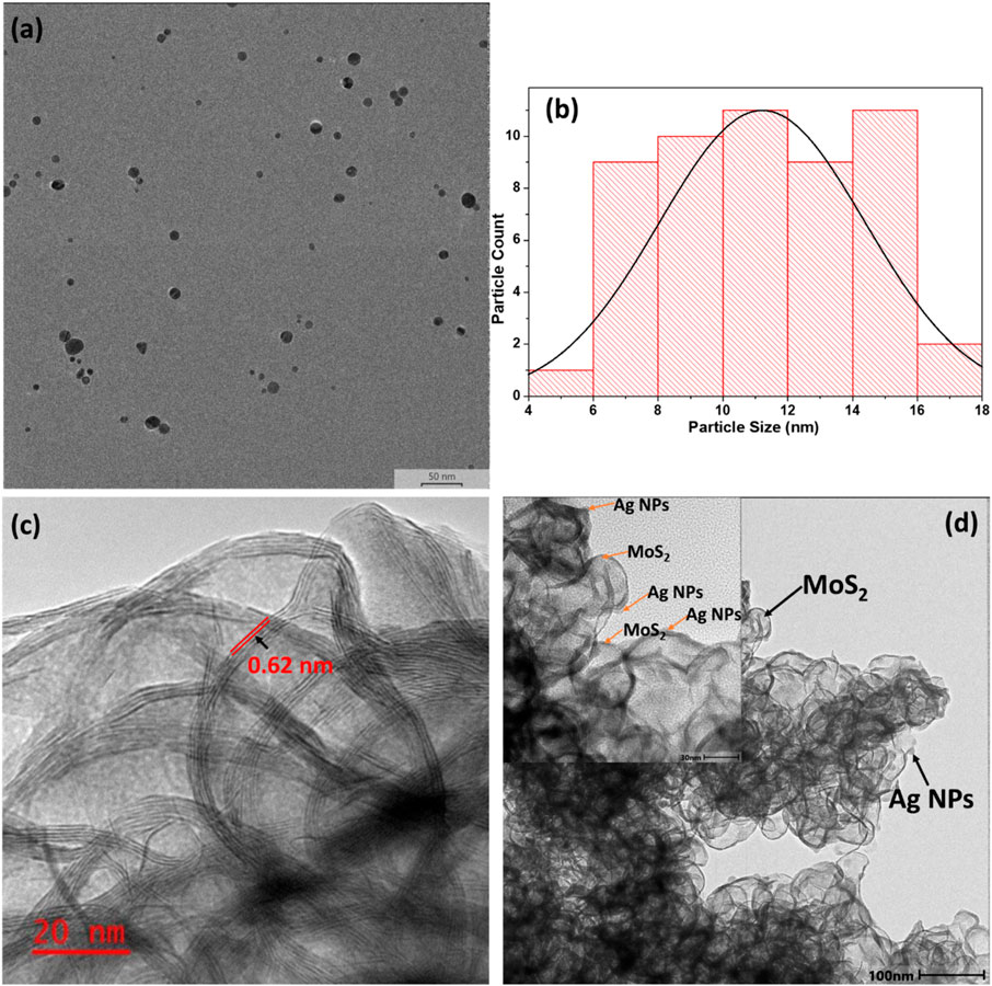 (a) A TEM image showing nanoparticles dispersed on a surface, scale bar indicating 50 nm. (b) A histogram displaying particle size distribution, ranging from 4 to 18 nm, with a curve representing the size distribution. (c) A close-up TEM image revealing layered structures with a measured spacing of 0.62 nm, scale bar 20 nm. (d) A high-resolution TEM image showing MoS₂ and Ag nanoparticles, with labeled regions indicating their positions, scale bars of 20 nm and inset scale 100 nm.