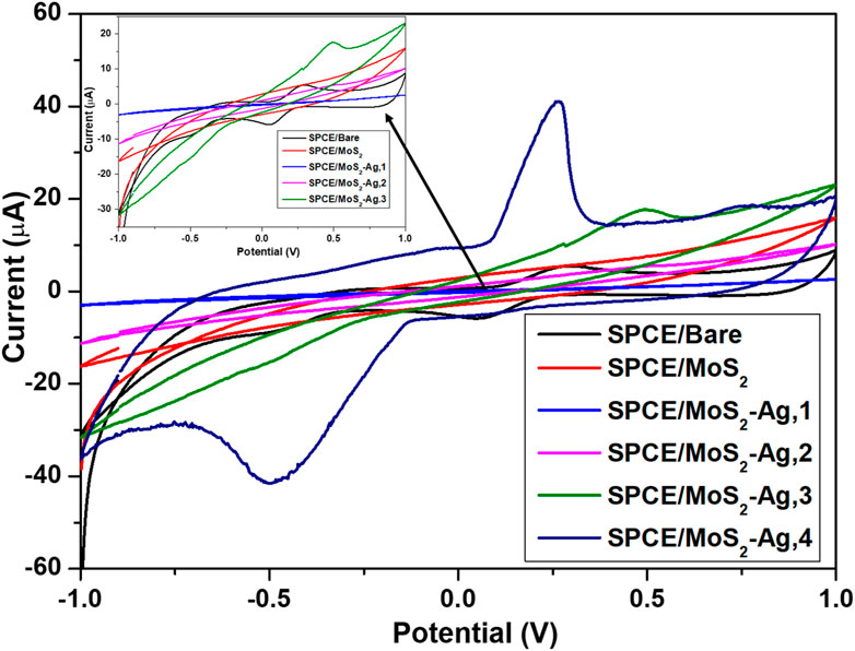 Graph depicting current versus potential for different electrode configurations. The main graph and inset show plots for SPCE/Bare, SPCE/MoS₂, and various SPCE/MoS₂-Ag configurations, demonstrated in distinct colors. The y-axis represents current in microamperes, and the x-axis represents potential in volts.