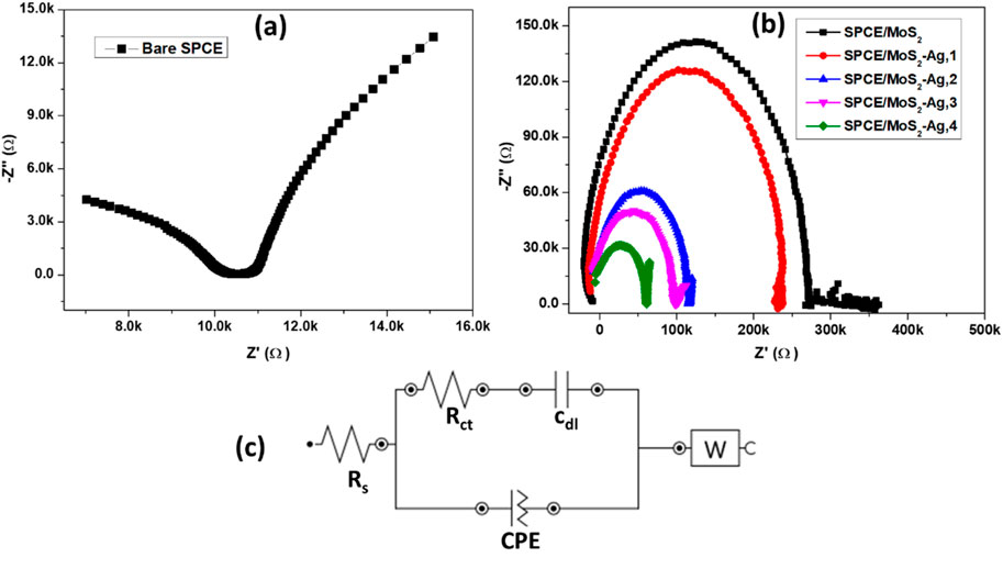 Three-part image: (a) Nyquist plot for Bare SPCE showing a semicircle at low frequencies. (b) Nyquist plots for SPCE/MoS2 with Ag variations showing different semicircle sizes, indicating varying impedance. (c) Equivalent circuit diagram including Rs, Rct, Cdl, CPE, and W elements.
