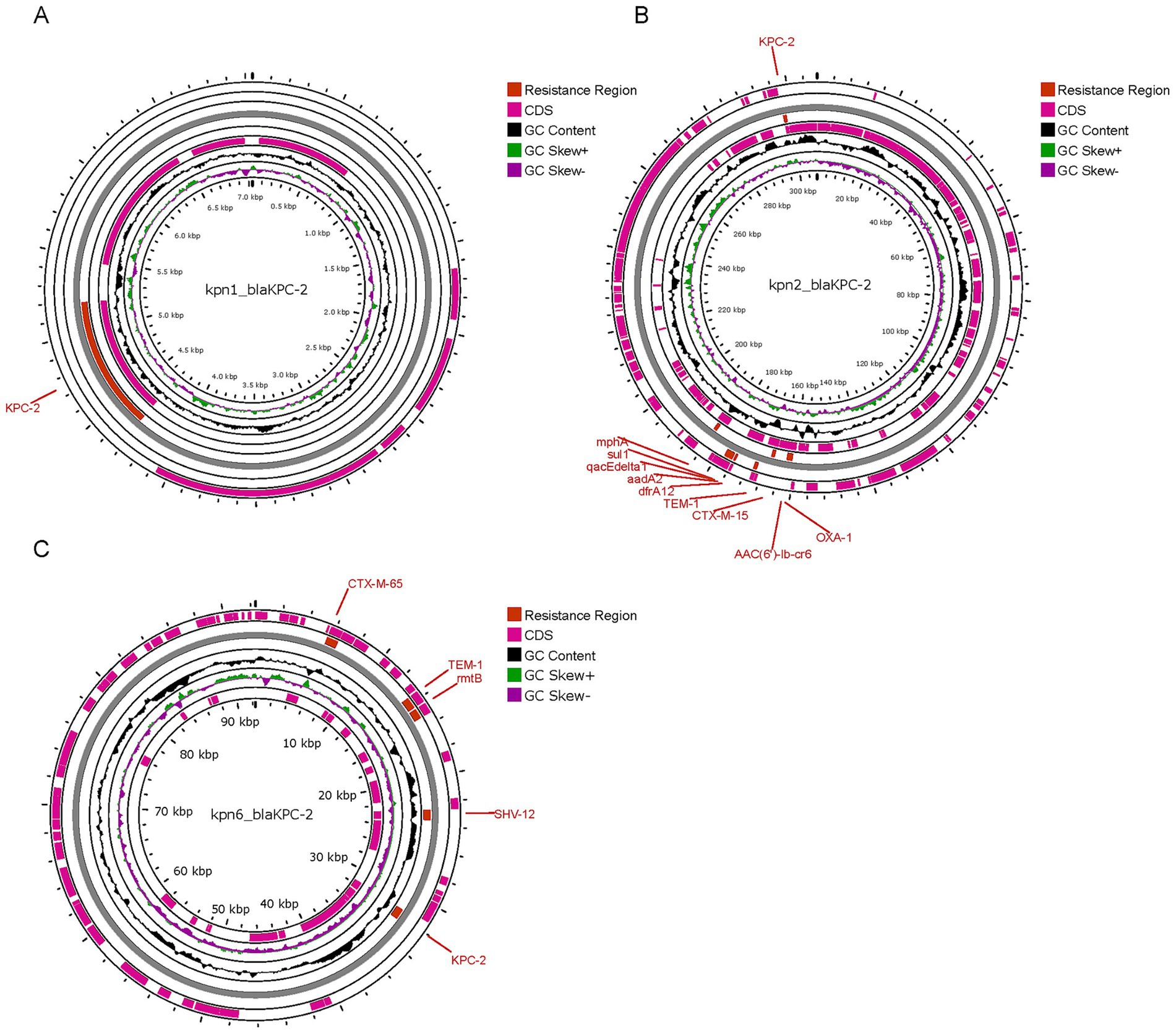 Circular genomic maps labeled A, B, and C display resistance regions and coding sequences (CDS) for kpn1_blaKPC-2, kpn2_blaKPC-2, and kpn6_blaKPC-2, respectively. Each map shows rings indicating GC content, GC skew, and CDS, with marked resistance genes in red.