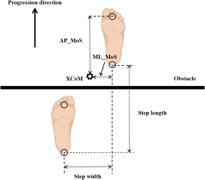 Diagram showing foot placement and movement strategies around an obstacle. It illustrates progression direction, step length, step width, and mediolateral and anteroposterior margins of stability (ML_MoS and AP_MoS), with the extrapolated center of mass (XCoM) indicated.