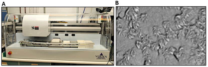 Panel A shows a Vertex machine in a laboratory setting, featuring a cylindrical structure within a transparent casing. Panel B displays a close-up of cell structures observed under a microscope, with irregular shapes and textures.
