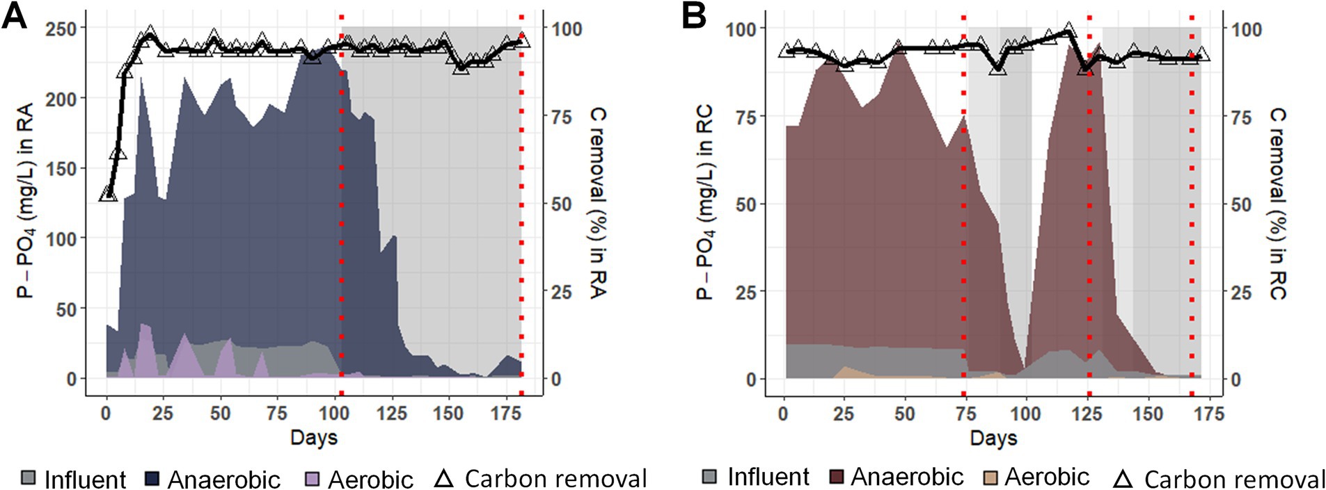 Graph A shows phosphorus concentration in milligrams per liter in a reactor with anaerobic and aerobic phases over 175 days, with carbon removal peaking early. Graph B displays similar data for a different reactor configuration, with high carbon removal maintained. Both graphs include influent, anaerobic, and aerobic markers.