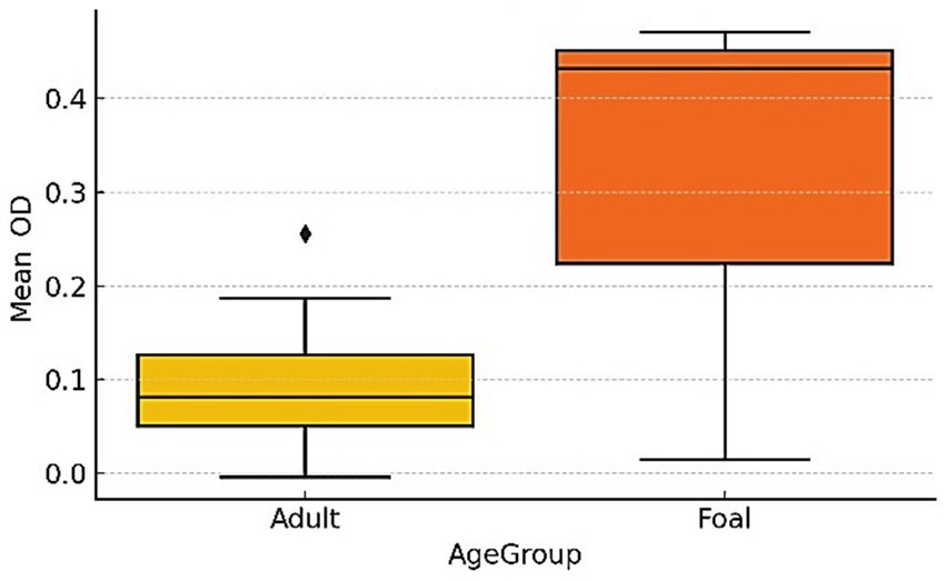 Box plot showing mean optical density (OD) for two age groups: Adult and Foal. The Adult group has a lower median OD around 0.1 with an outlier, while the Foal group has a higher median around 0.35. The Foal group exhibits greater variability.