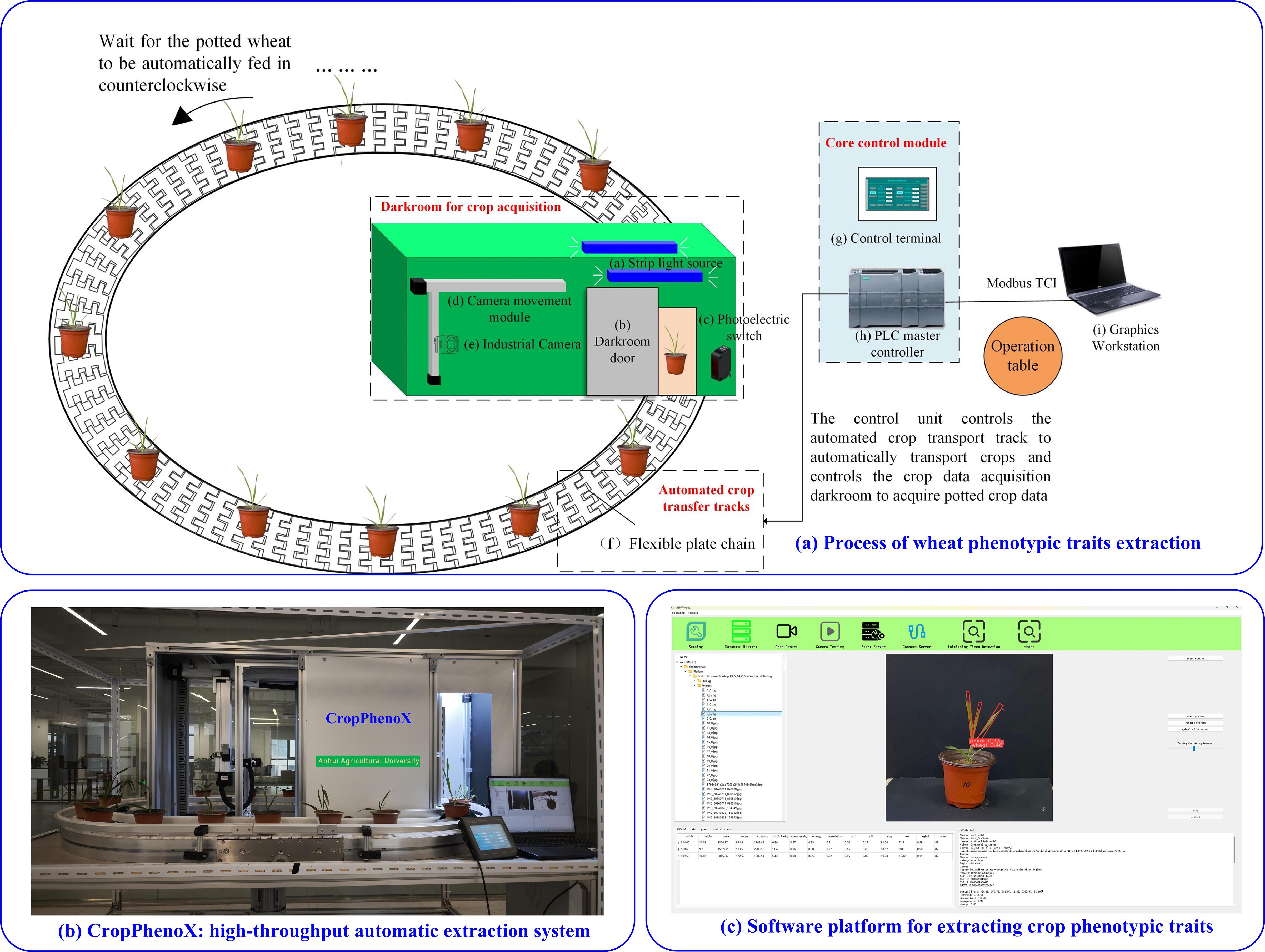 Diagram showing three parts of a wheat phenotypic parameter extraction system. (a) Illustrates an oval automated crop transfer track with potted plants, detailing components like darkroom, camera, and control modules. (b) Displays the image acquisition system with labeled “CropPhenX” and potted plants on a conveyor. (c) Shows the phenotype extraction system interface with plant data and imaging.