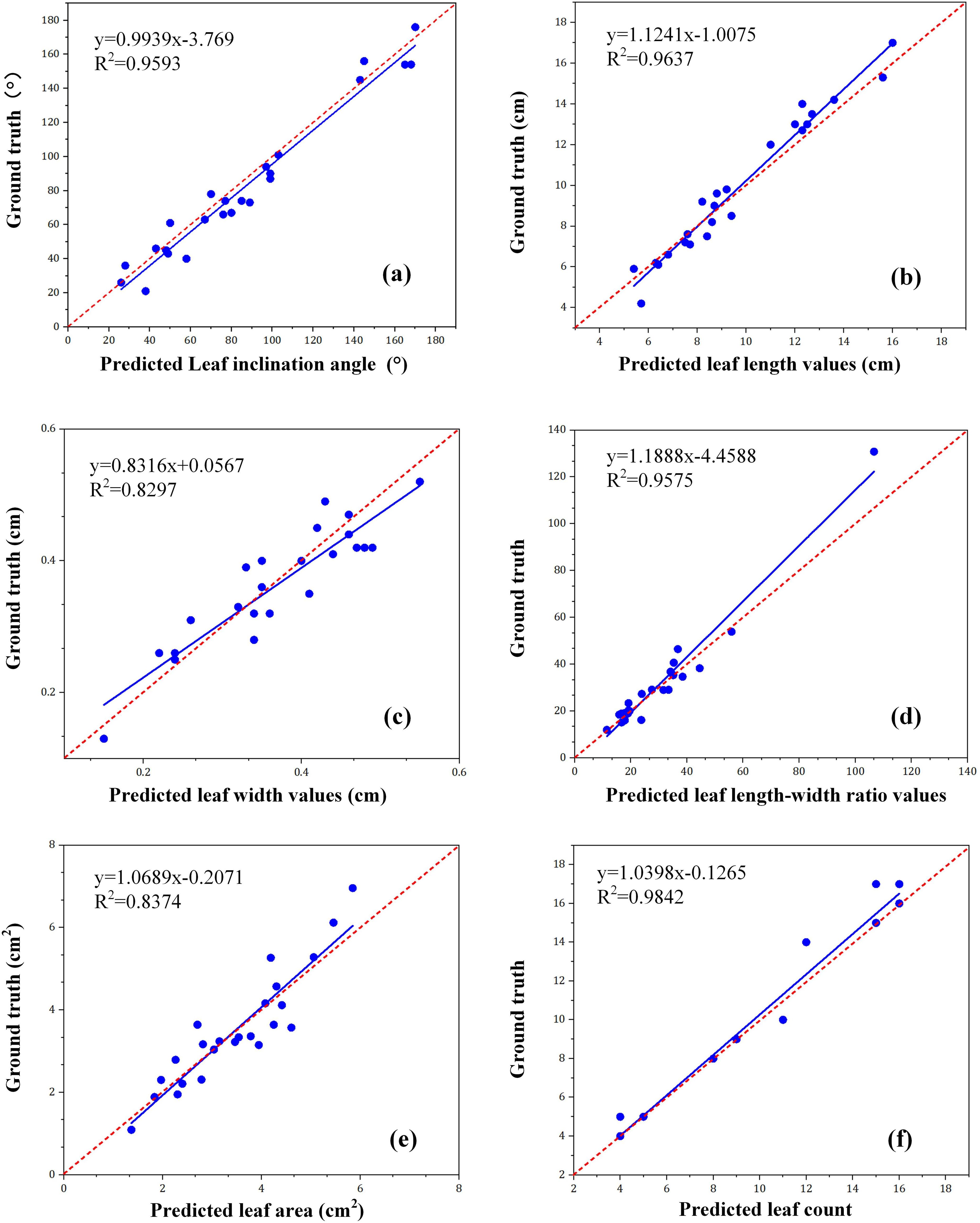 Six scatter plots show the relationship between predicted and actual leaf measurements. Each plot includes a regression line, equation, and R-squared value. (a) Leaf inclination angle, (b) leaf length, (c) leaf width, (d) length-width ratio, (e) leaf area, and (f) leaf count. Each plot shows data points closely aligned with the regression line, indicating strong predictive accuracy.