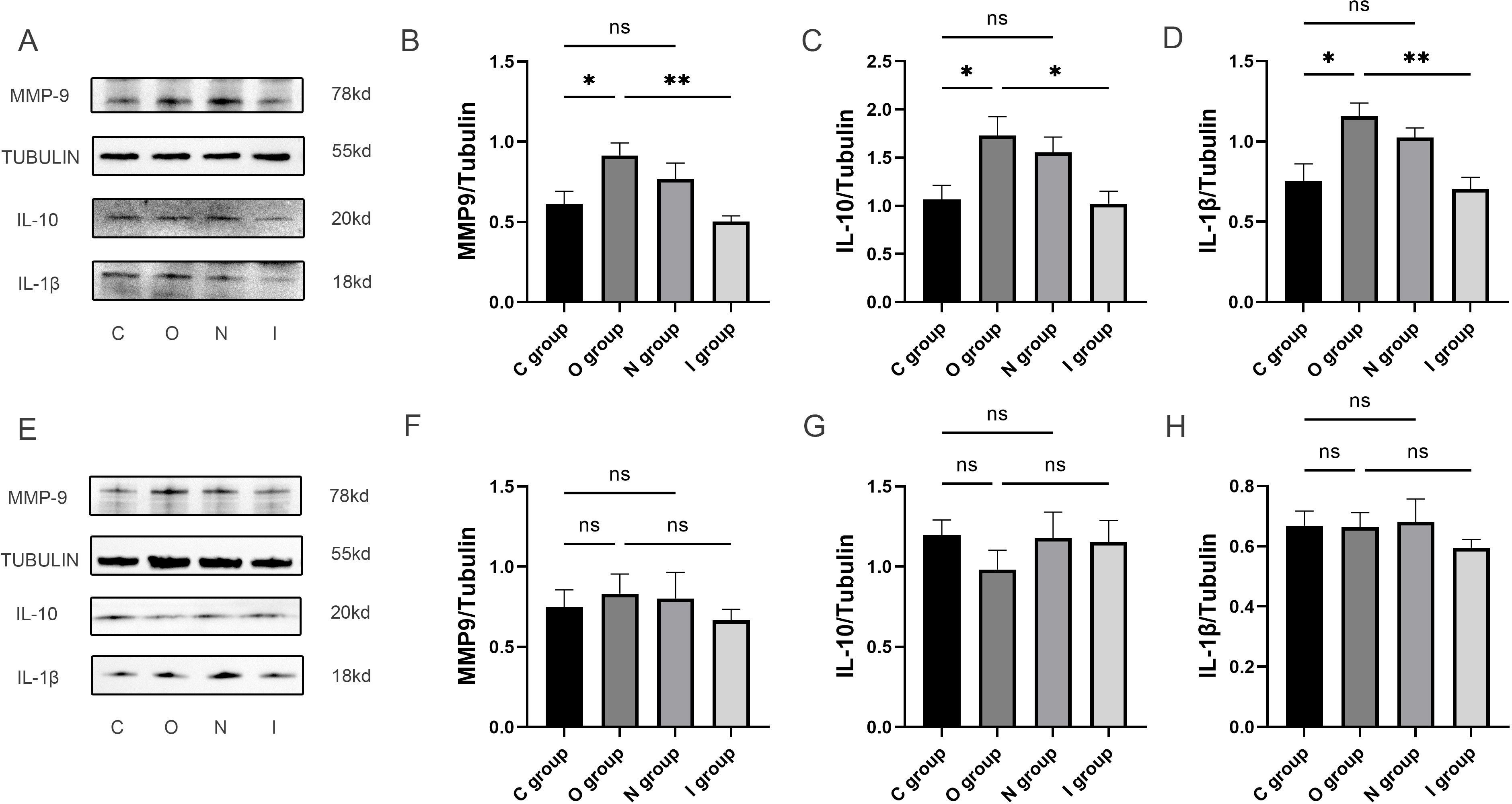 Panels A and E show Western blot images for MMP-9, tubulin, IL-10, and IL-1β proteins across C, O, N, and I groups. Panels B, C, D, F, G, and H display bar graphs comparing protein levels among these groups. Significant differences are indicated by asterisks, with statistical annotations marked for each comparison.