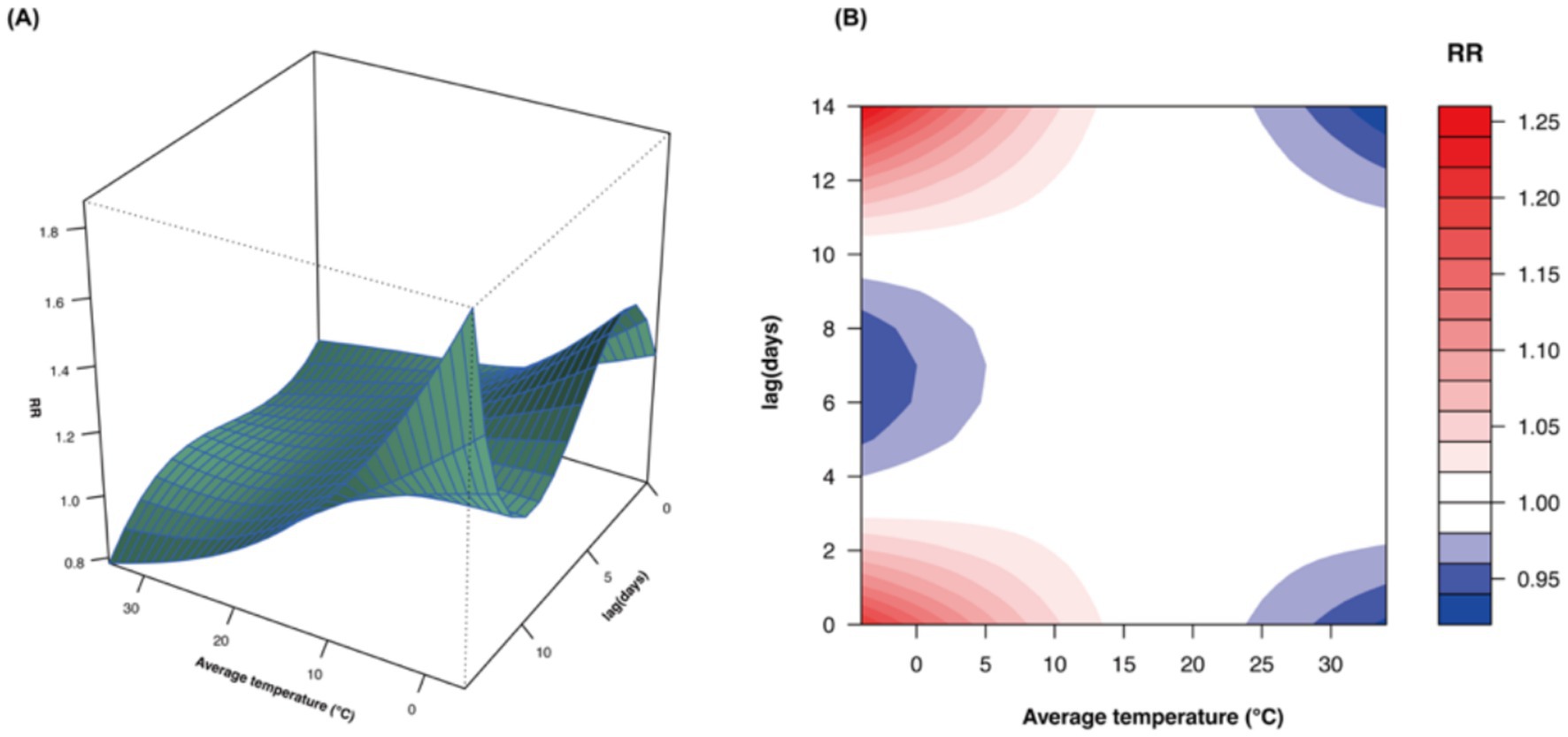 Panel A shows a 3D surface plot illustrating the relationship between average temperature, lag days, and relative risk (RR). Panel B presents a contour plot of lag days versus average temperature, using a color gradient to represent RR, with red indicating higher and blue lower values.