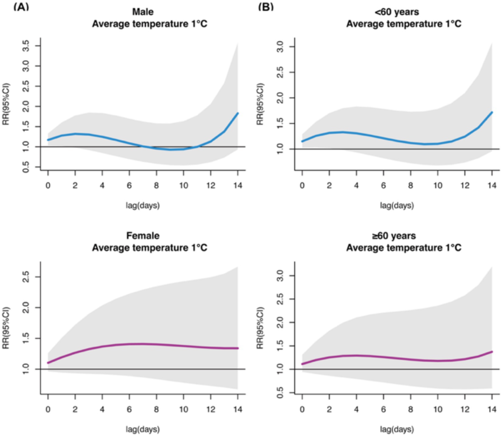 Four line graphs show relative risk (RR) over lag days at an average temperature of one degree Celsius. Graph (A) for males shows a rising trend after day ten. Graph (B) for individuals under sixty shows a similar increasing trend. The graph for females indicates a stable line with a slight increase, while the graph for those sixty and older shows a gradual upward slope. Shaded areas represent the ninety-five percent confidence intervals.